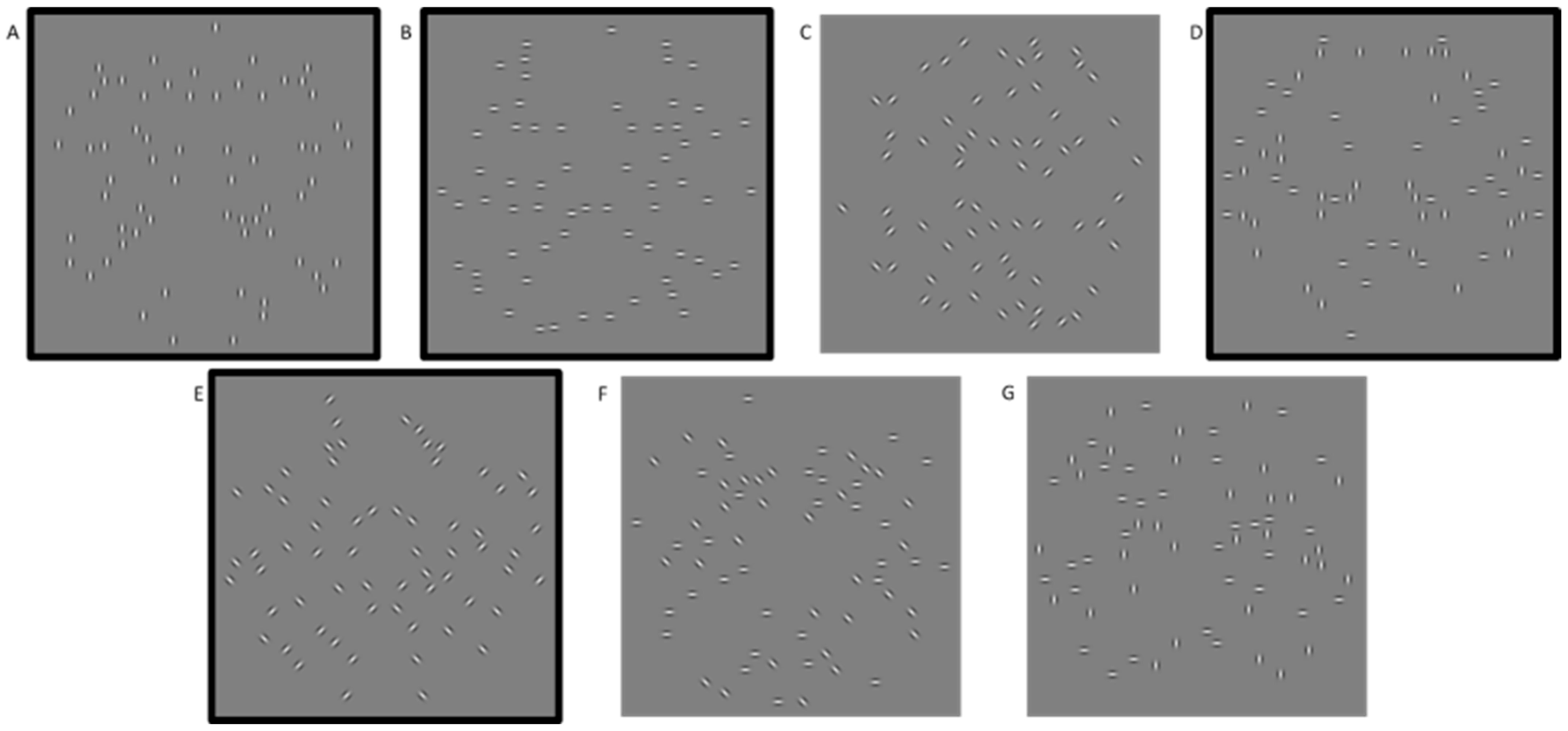 Symmetry 18 00247 g005