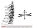 Symmetry 18 00352 i015 Symmetry 18 00352 i015