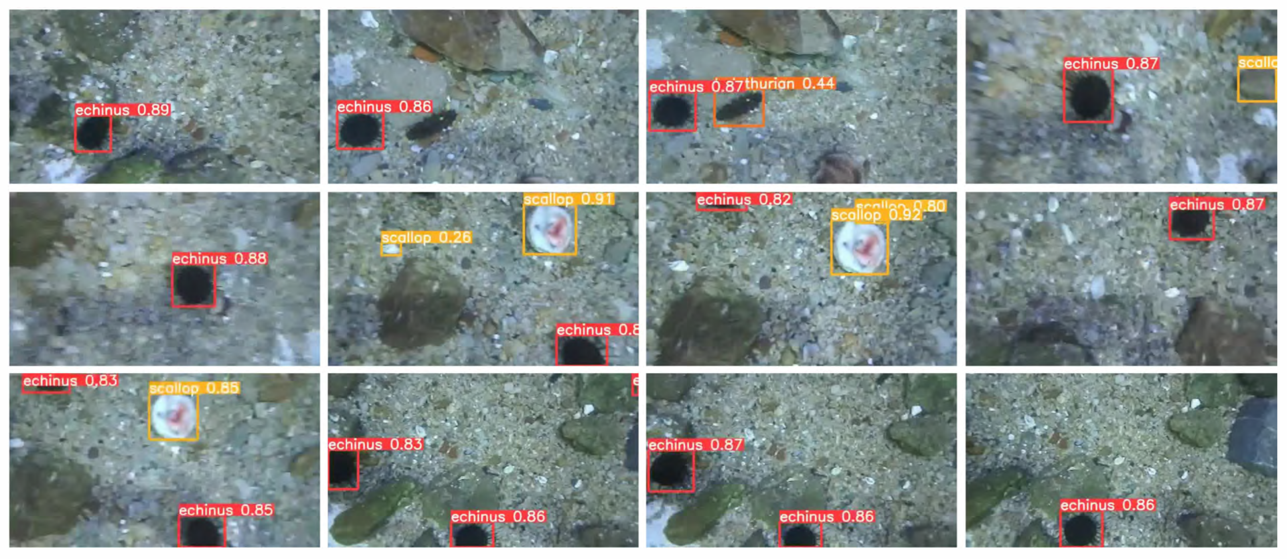 Symmetry 18 00495 g007 Symmetry 18 00495 g007