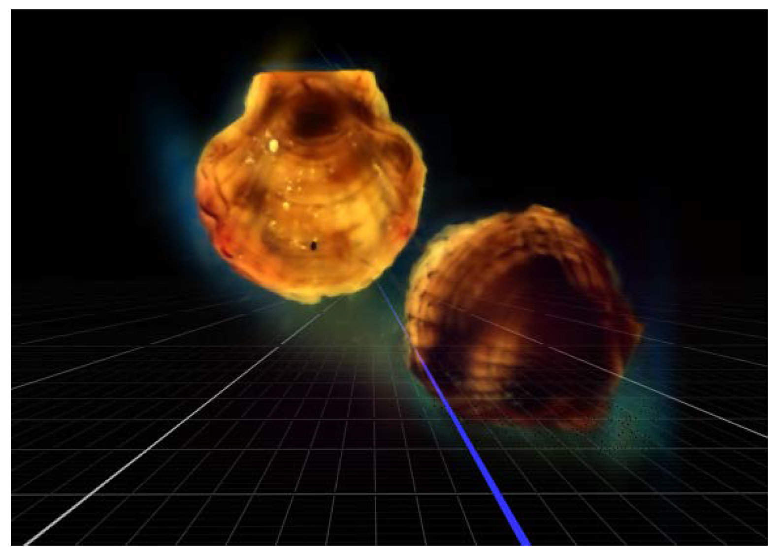 Symmetry 18 00495 g010 Symmetry 18 00495 g010