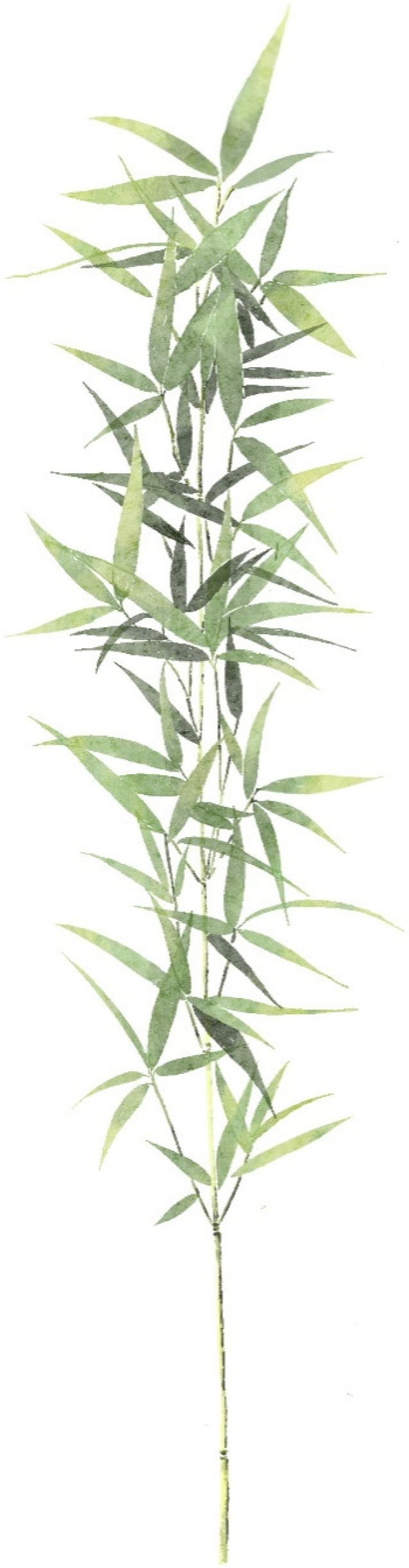 Symmetry 18 00501 g002