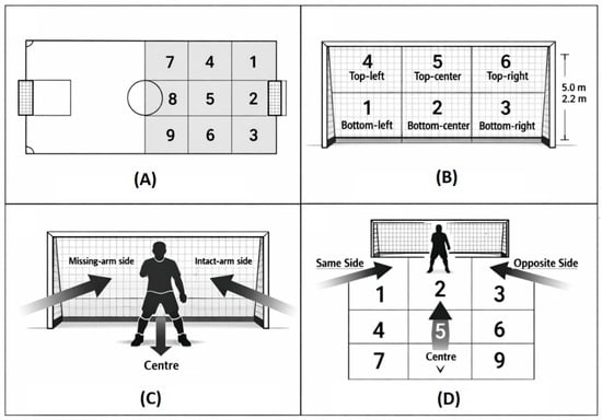 (A) Spatial segmentation of the playing field into nine zones. (B) Division of the goal into six zones. (C) Goalkeeper’s missing arm versus intact arm side with functional division of the goalmouth. (D) Categorization of shooting zone: same side, opposite side, and center.