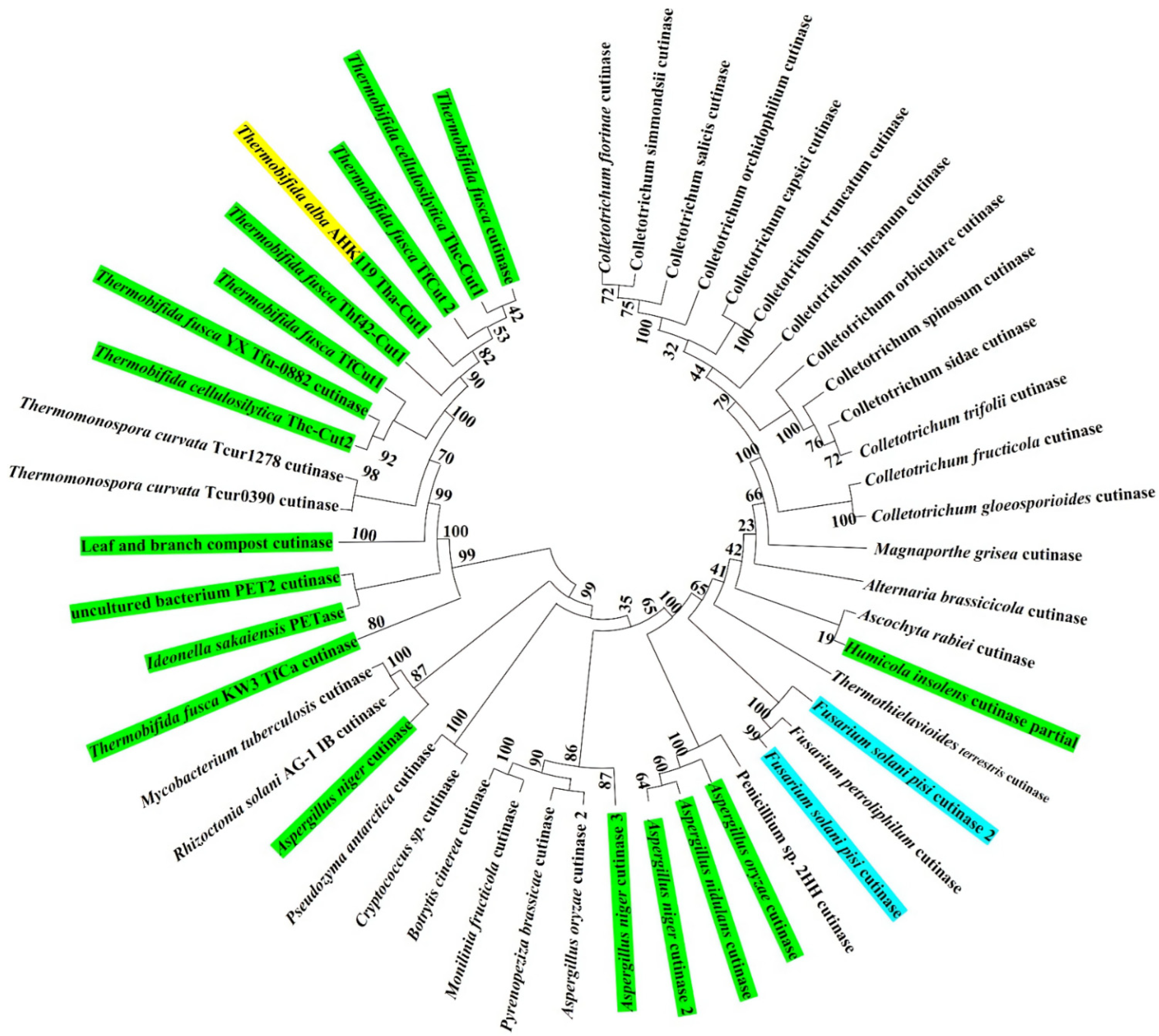 Synbio 01 00004 g002