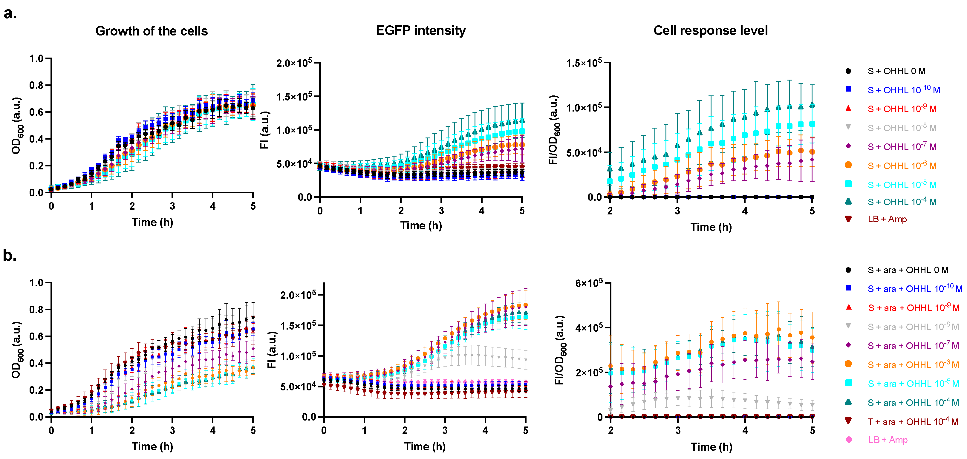 Synbio 01 00010 g002
