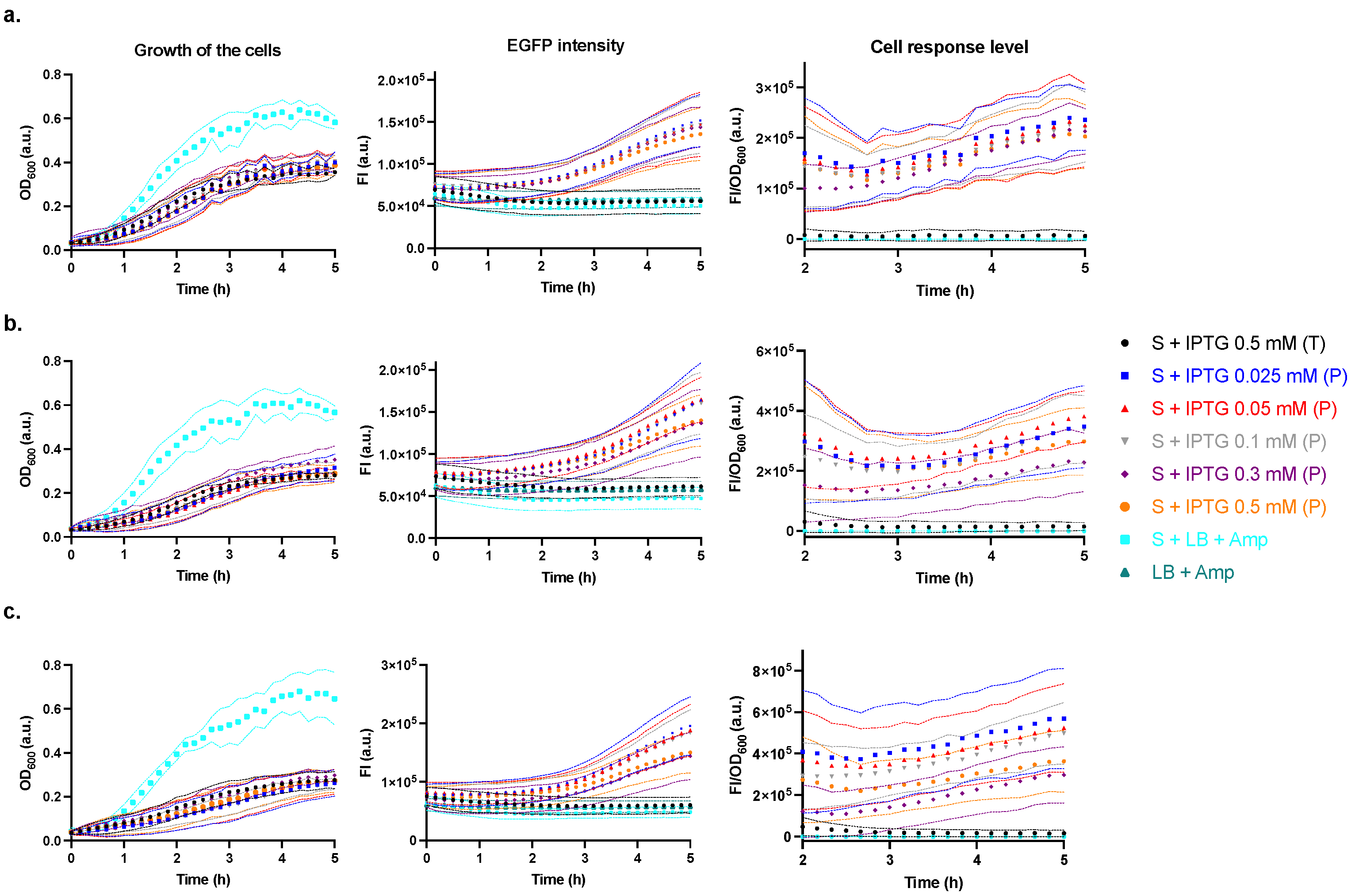 Synbio 01 00010 g005
