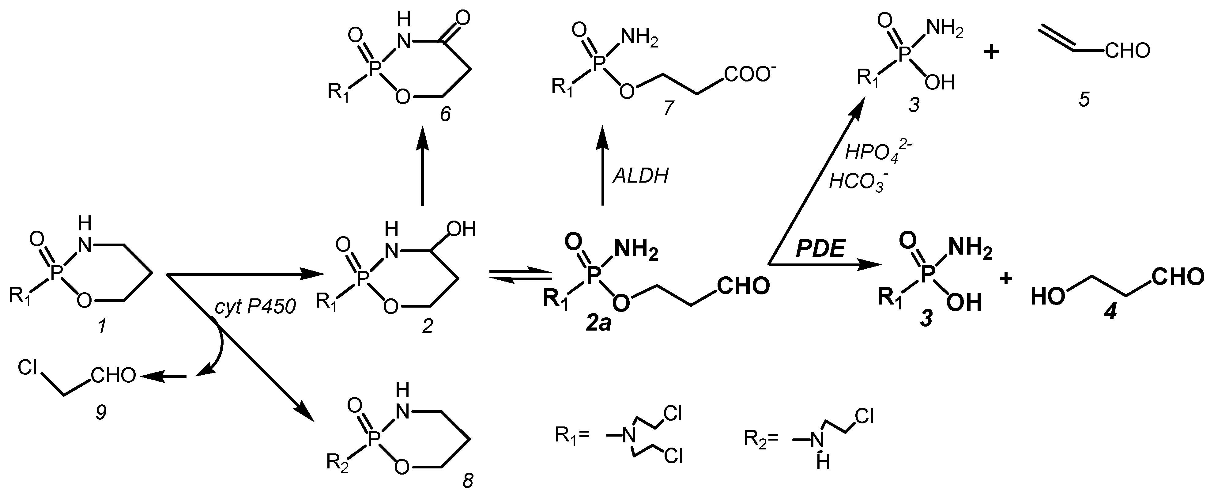 Synbio 01 00011 g001