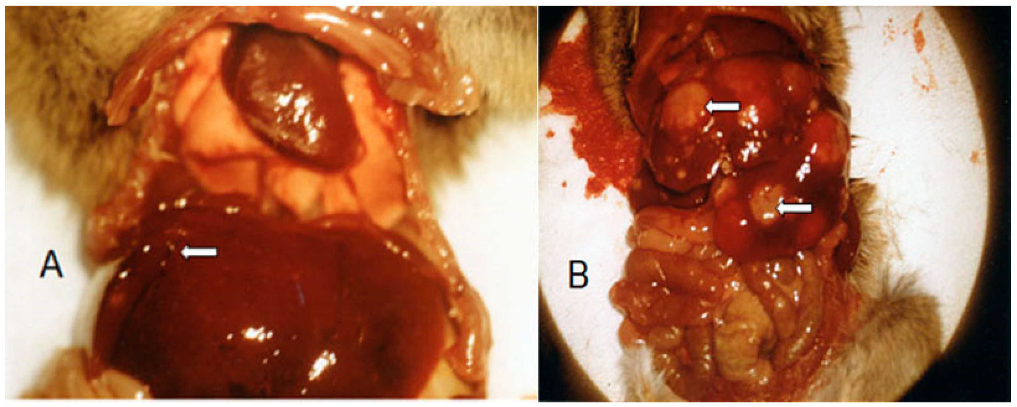 Synbio 01 00011 g005