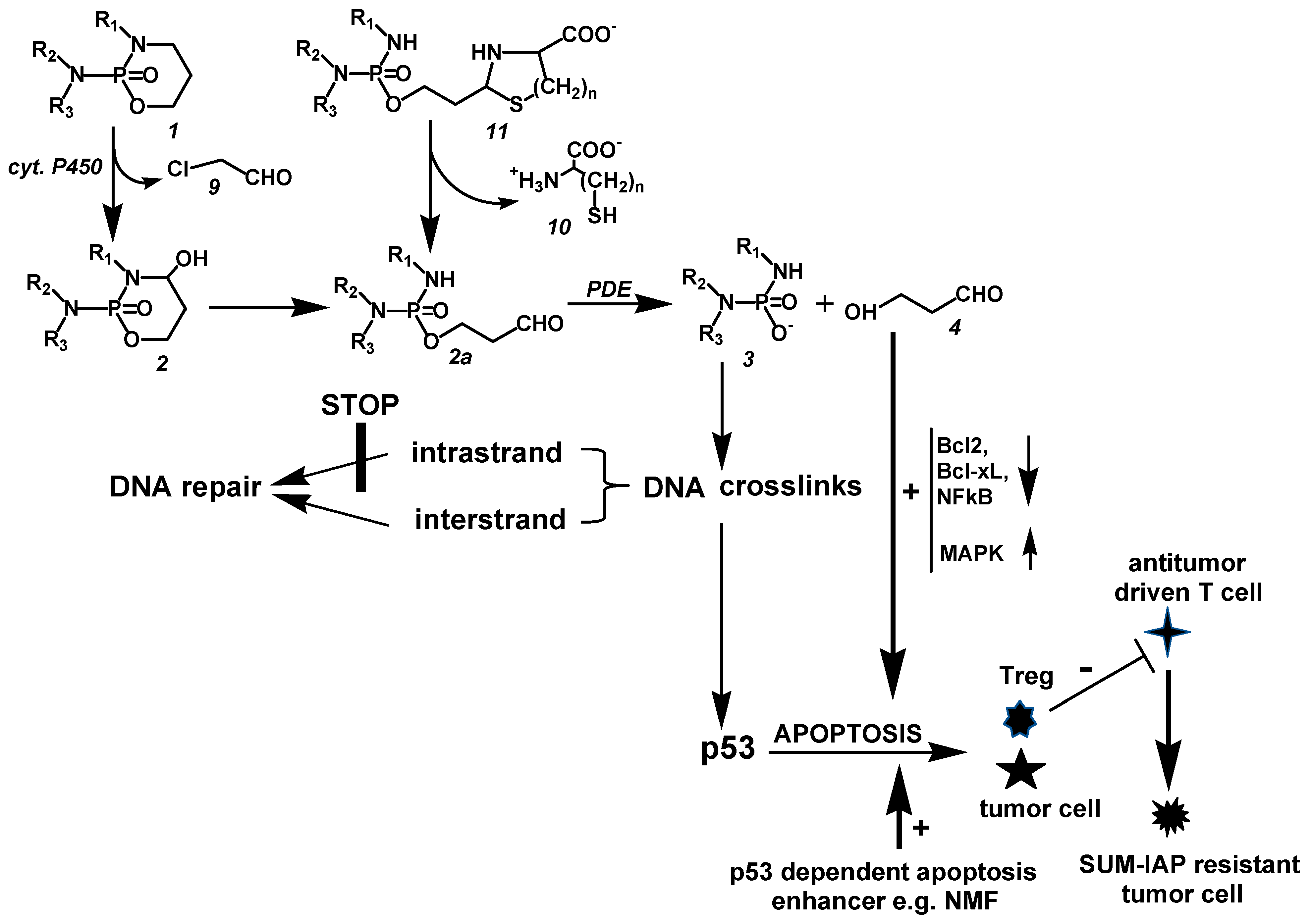 Synbio 01 00011 g008