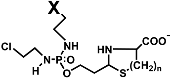 Synbio 01 00011 i001
