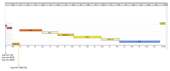 Synbio 01 00014 g0a1