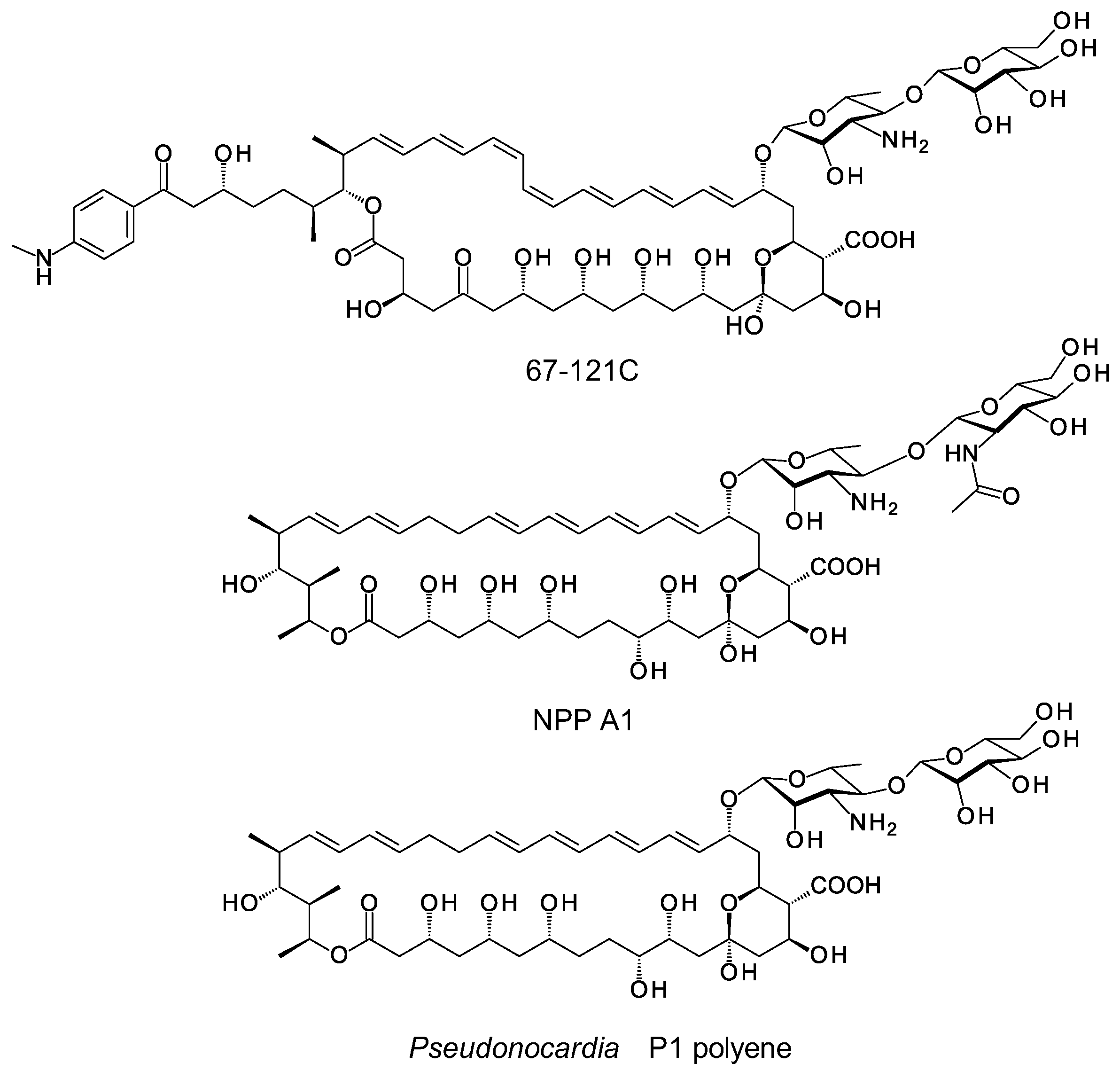 Synbio 02 00003 g002 Synbio 02 00003 g002