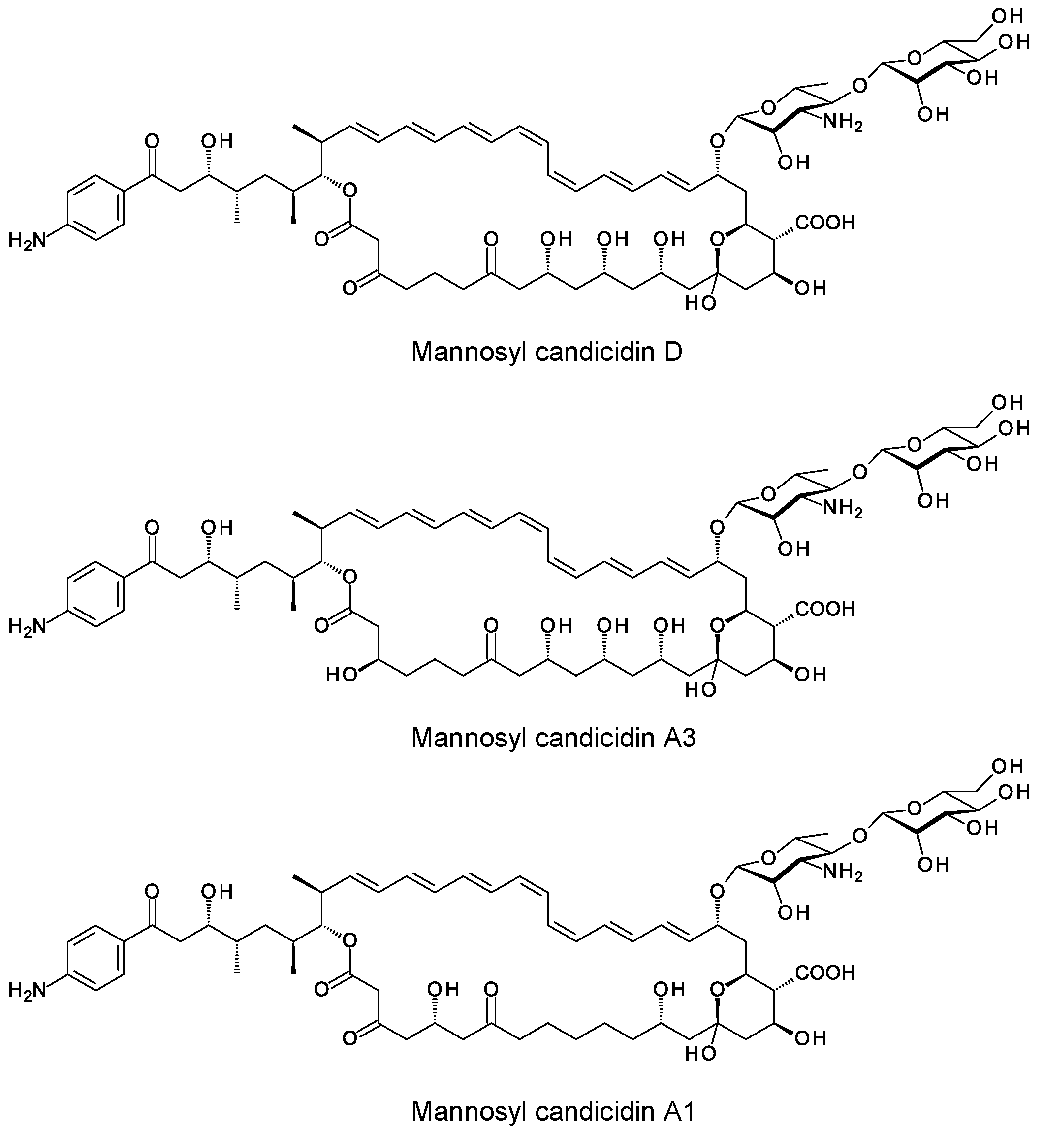 Synbio 02 00003 g008 Synbio 02 00003 g008