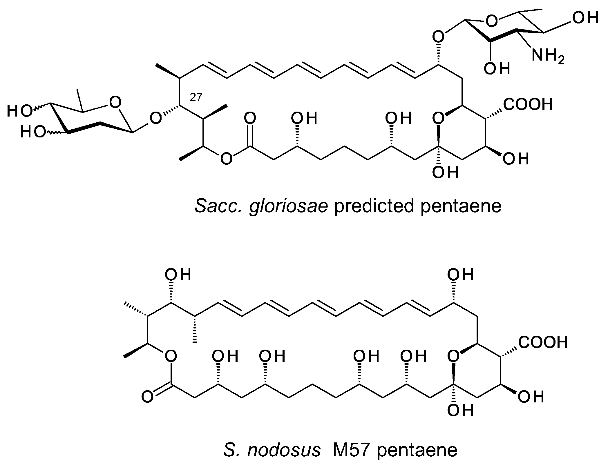 Synbio 02 00003 g014 Synbio 02 00003 g014