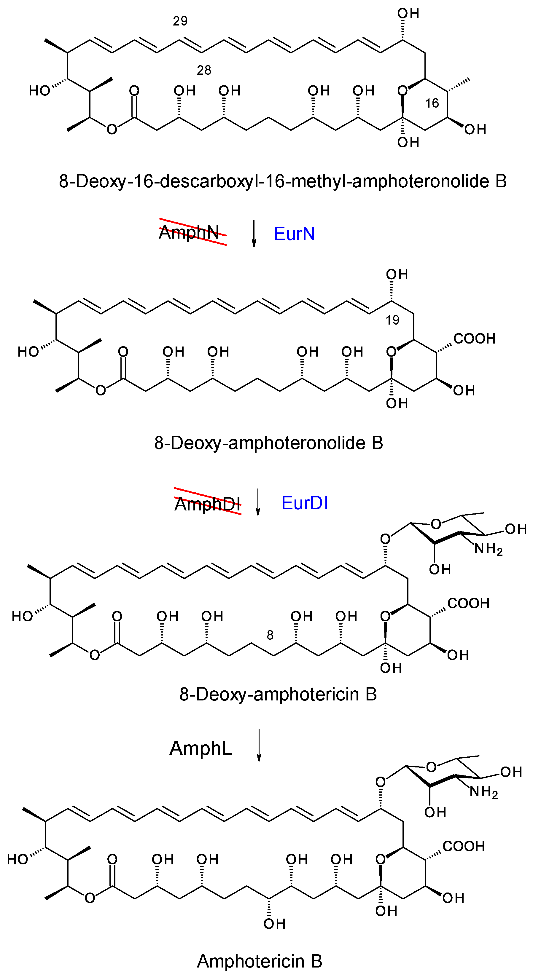 Synbio 02 00003 g015 Synbio 02 00003 g015