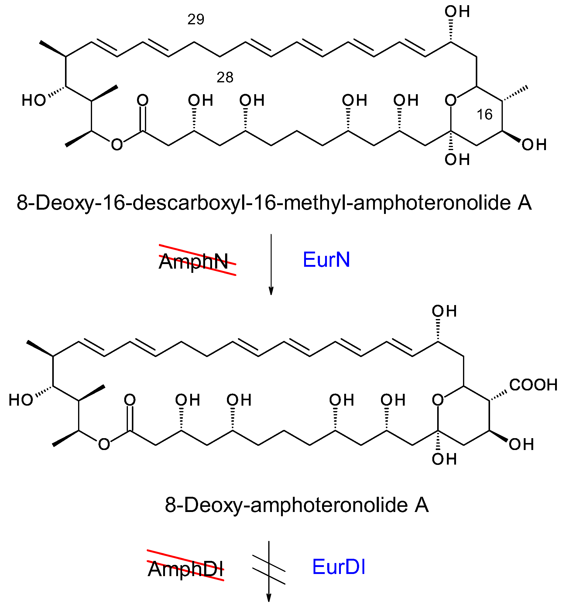 Synbio 02 00003 g018 Synbio 02 00003 g018