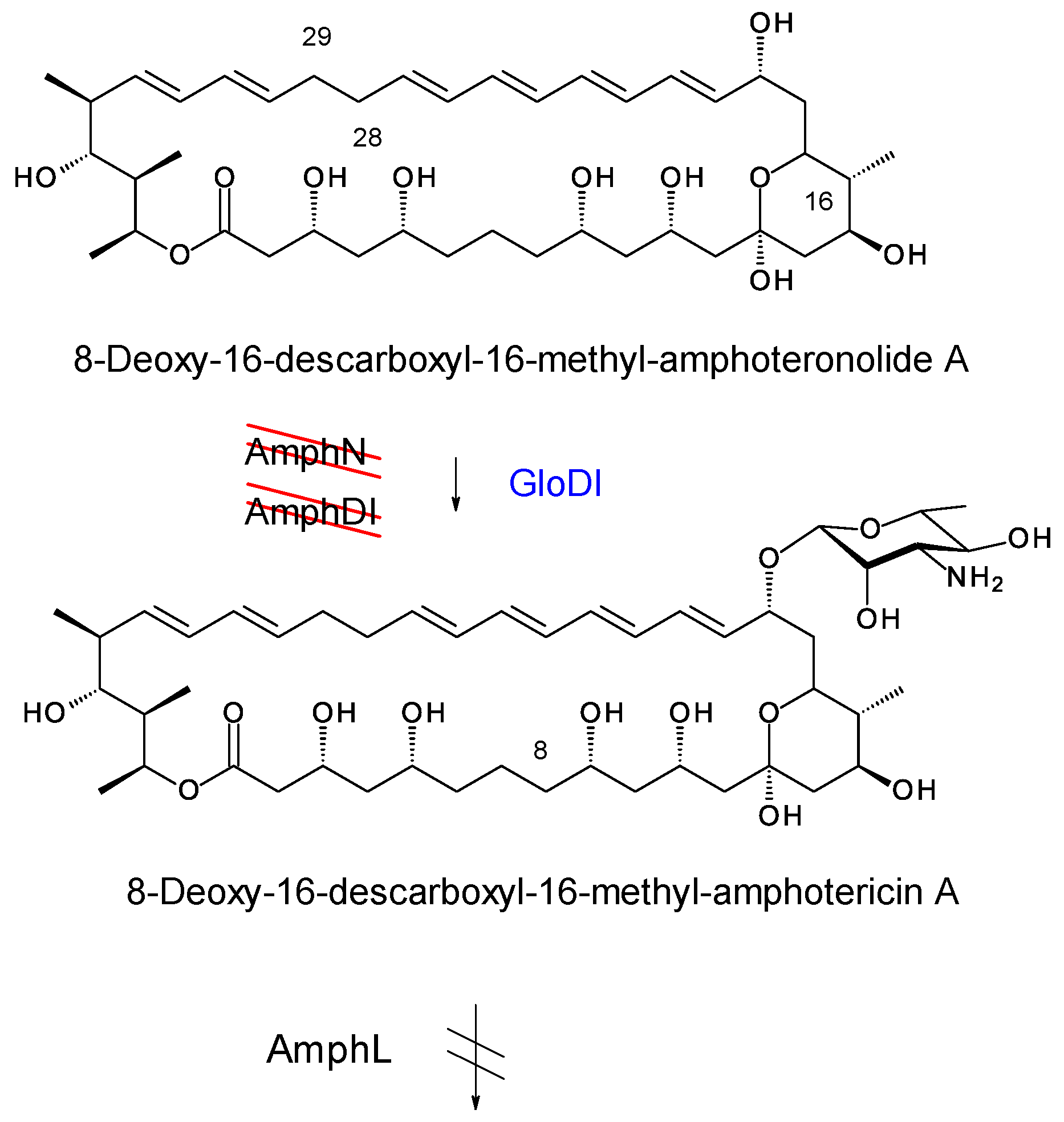 Synbio 02 00003 g022 Synbio 02 00003 g022