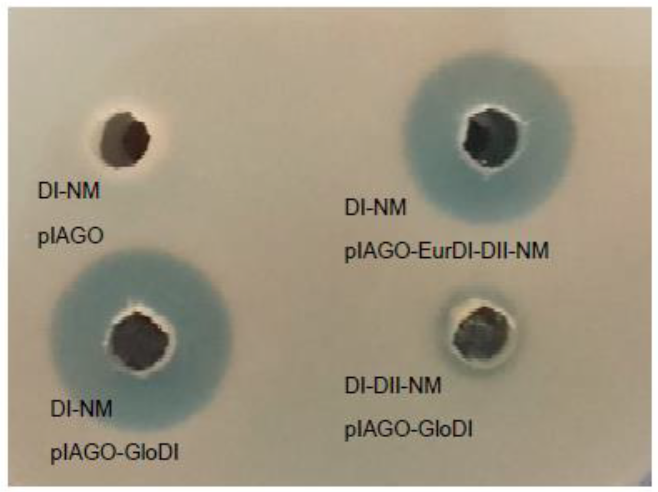 Synbio 02 00003 g025 Synbio 02 00003 g025