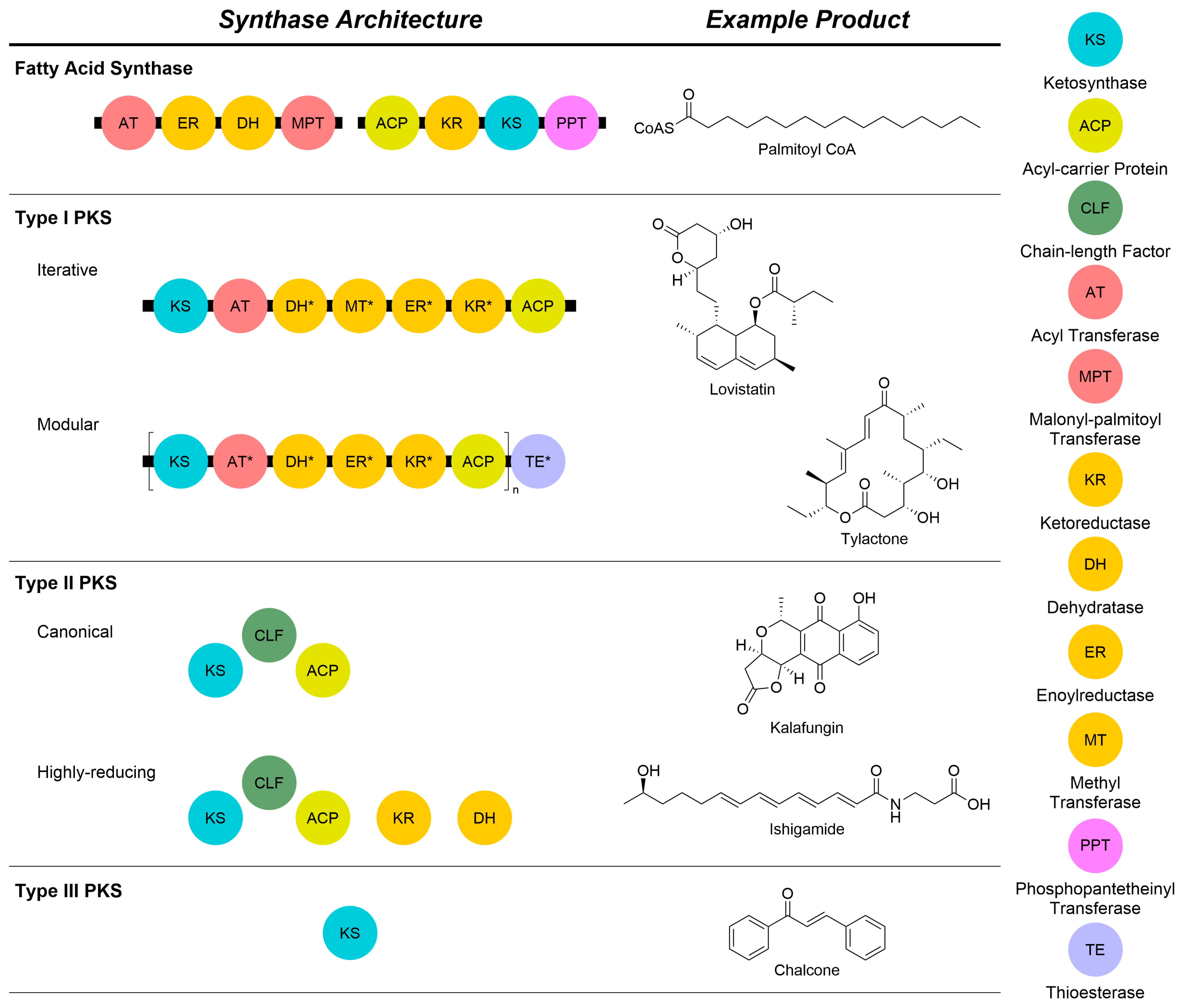 Synbio 02 00006 g002