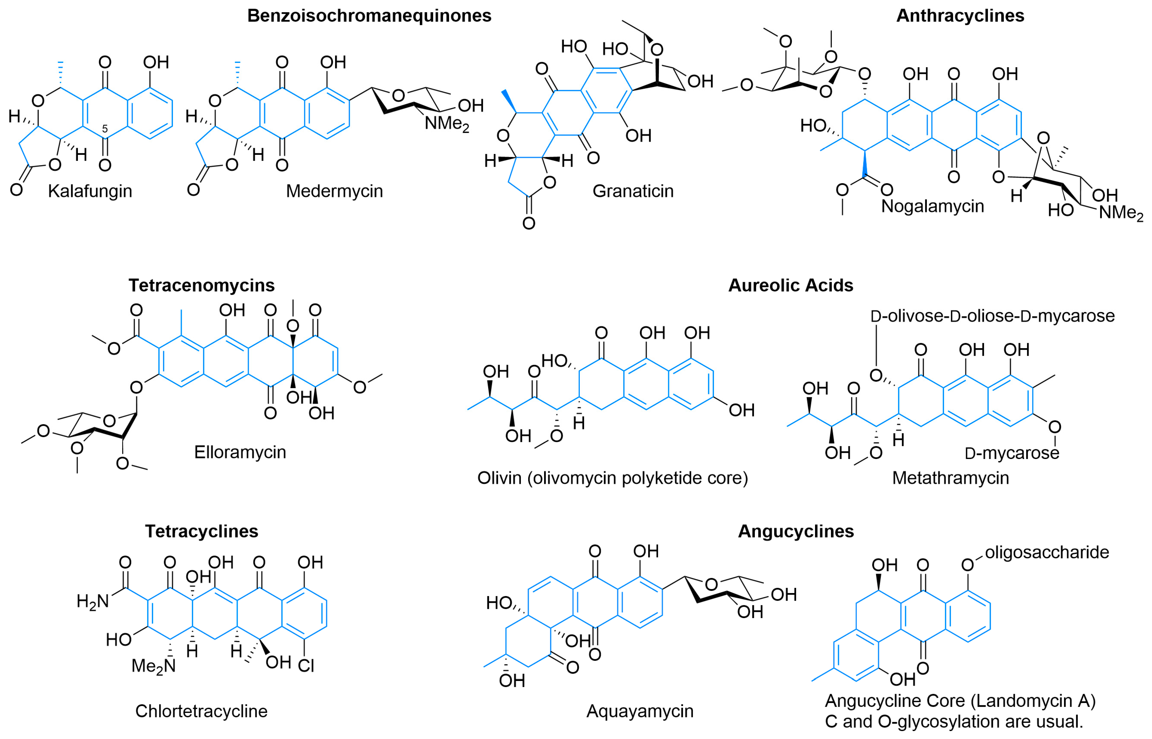 Synbio 02 00006 g003