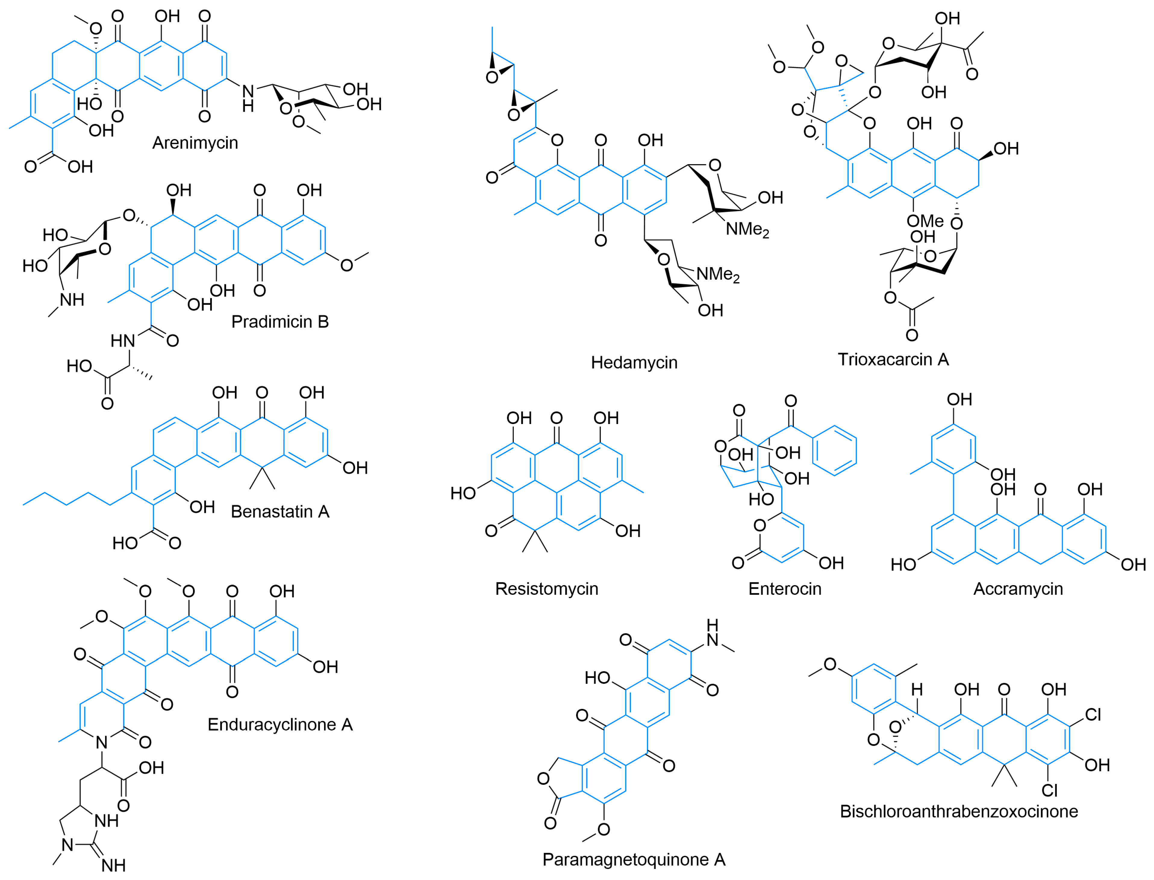 Synbio 02 00006 g004