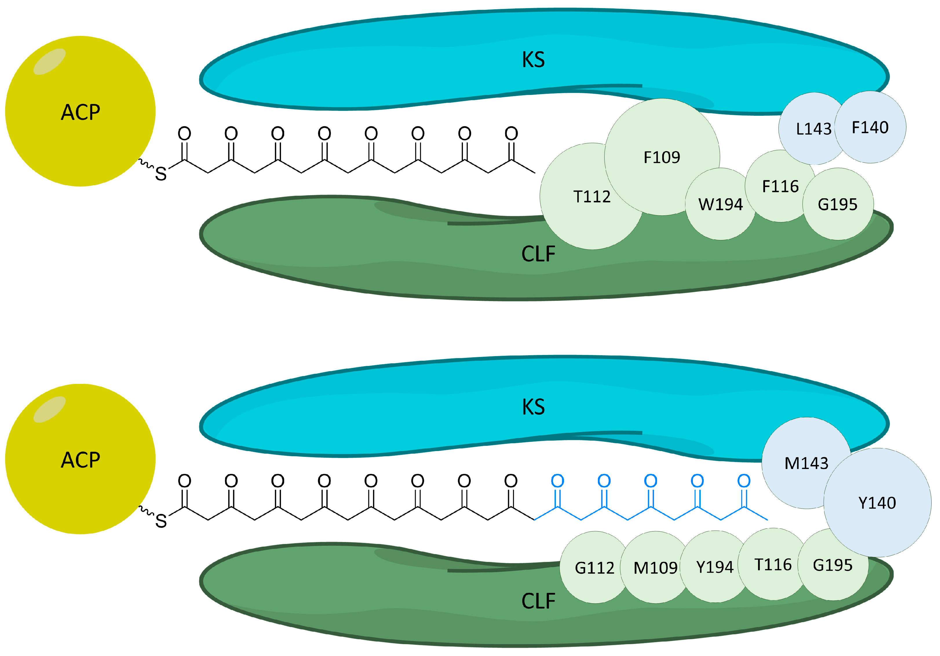 Synbio 02 00006 g008