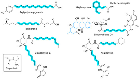 Synbio 02 00006 g009