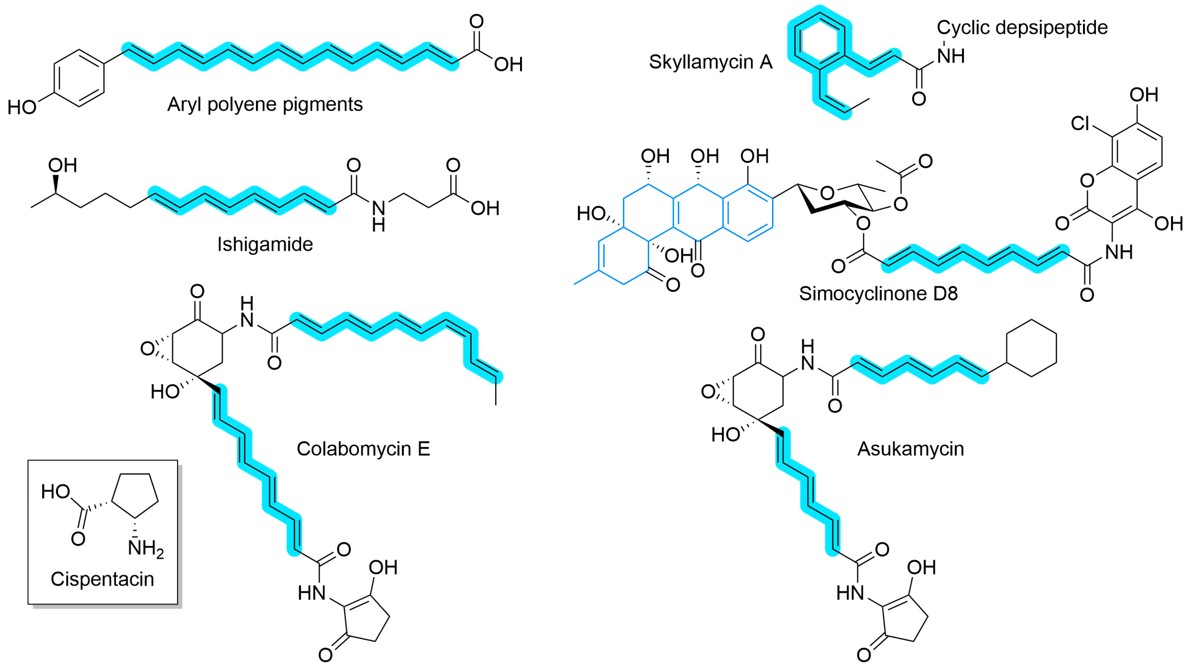 Synbio 02 00006 g009