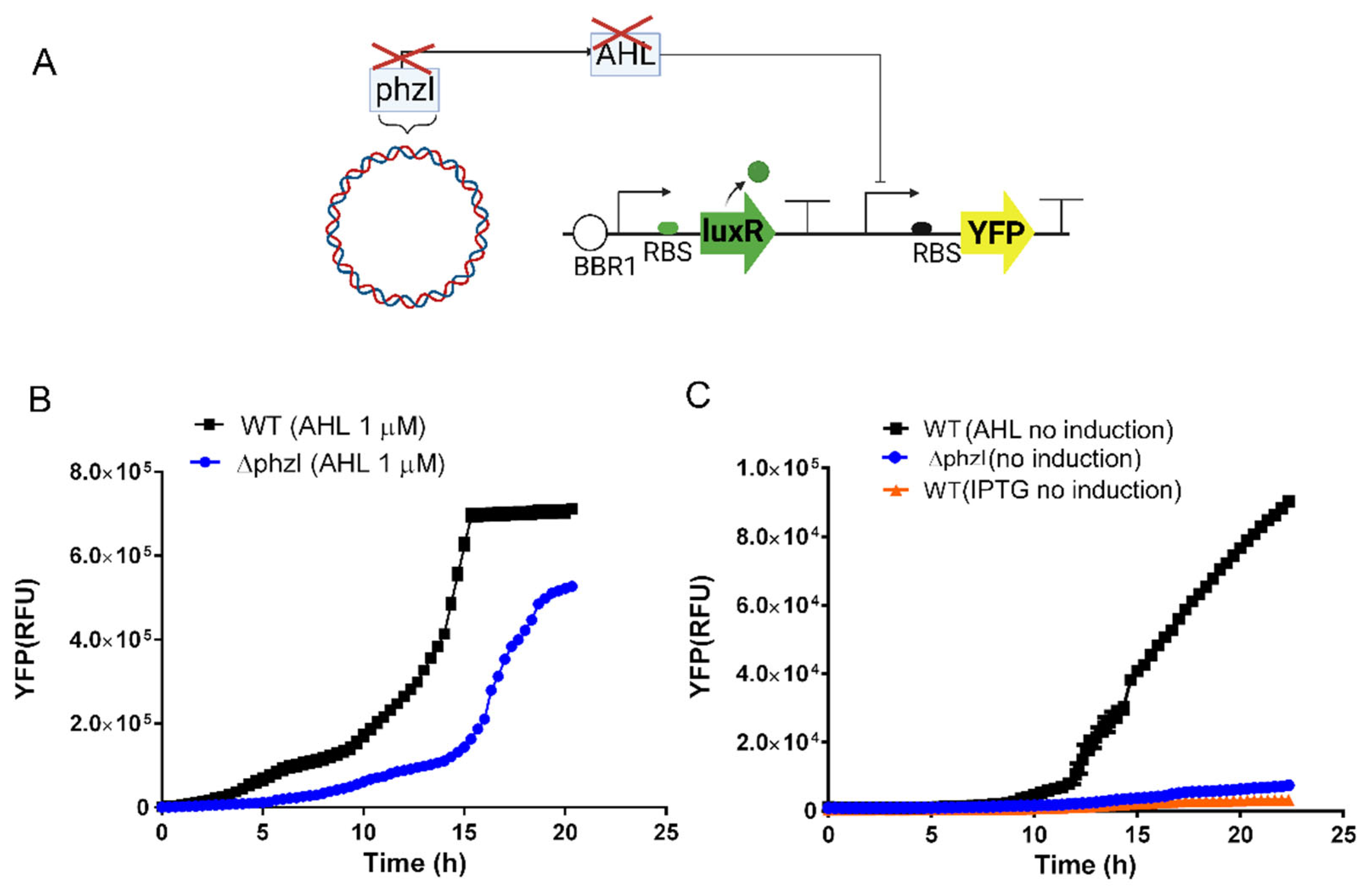 Synbio 02 00007 g002