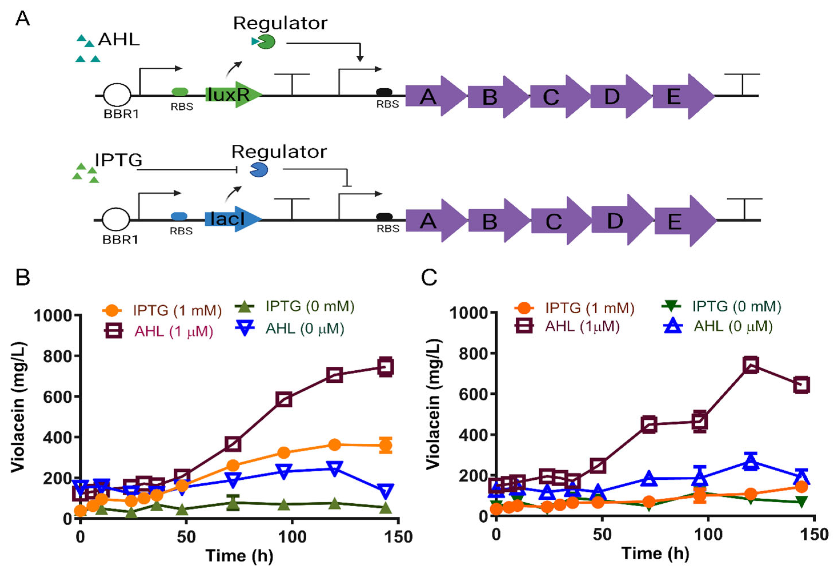 Synbio 02 00007 g003