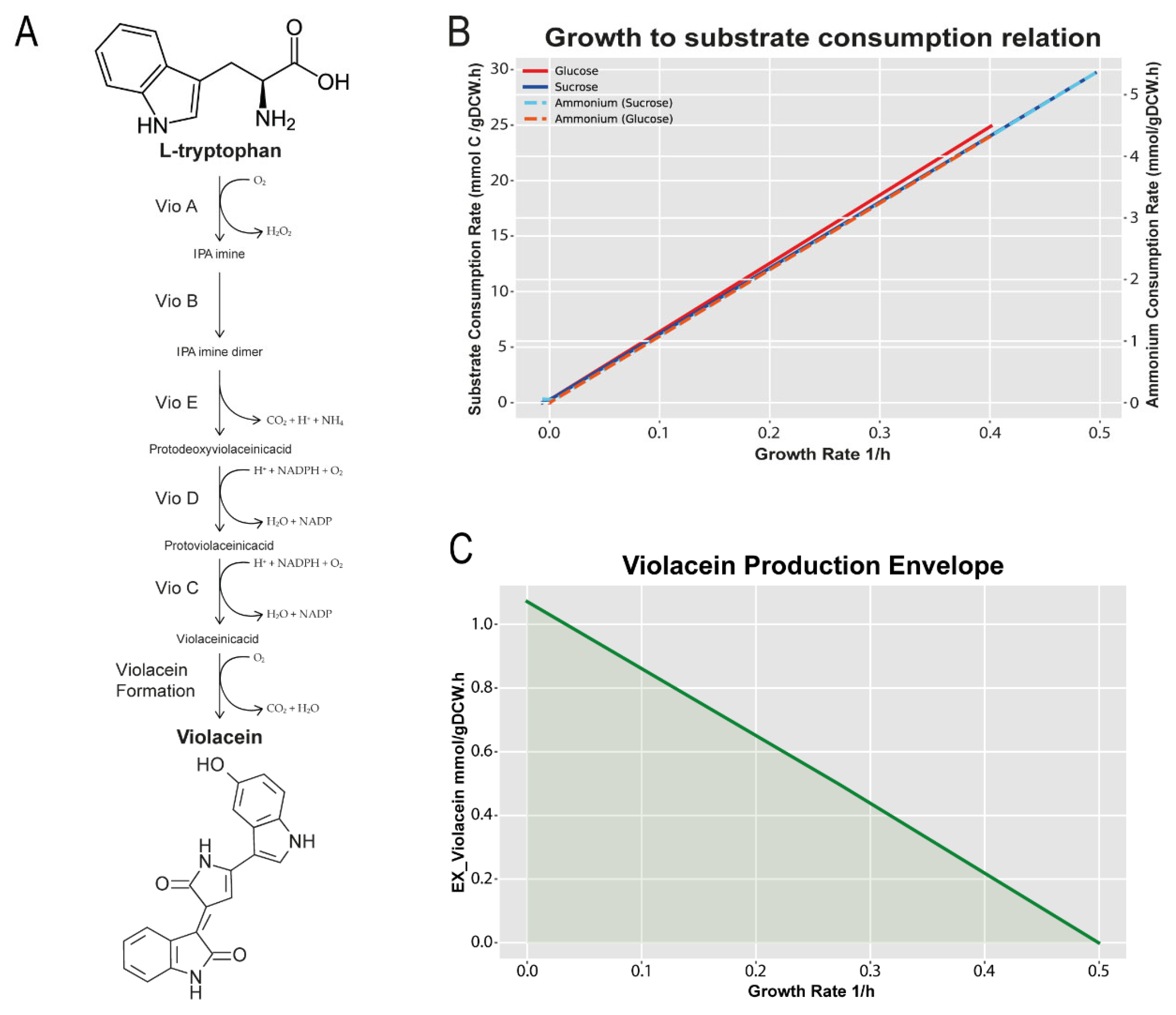 Synbio 02 00007 g005
