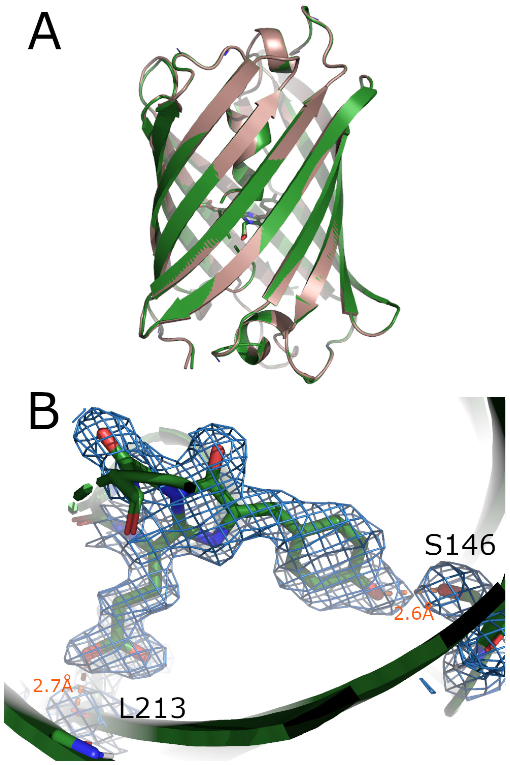 Synbio 02 00018 g003 Synbio 02 00018 g003