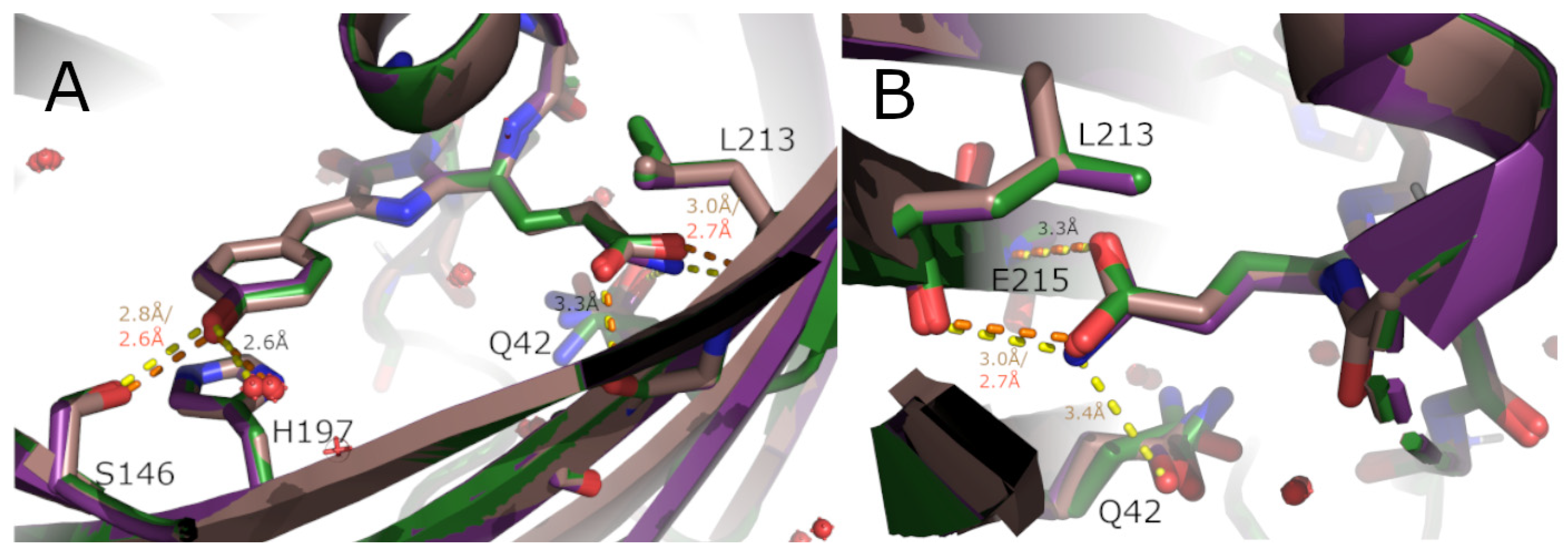 Synbio 02 00018 g004 Synbio 02 00018 g004