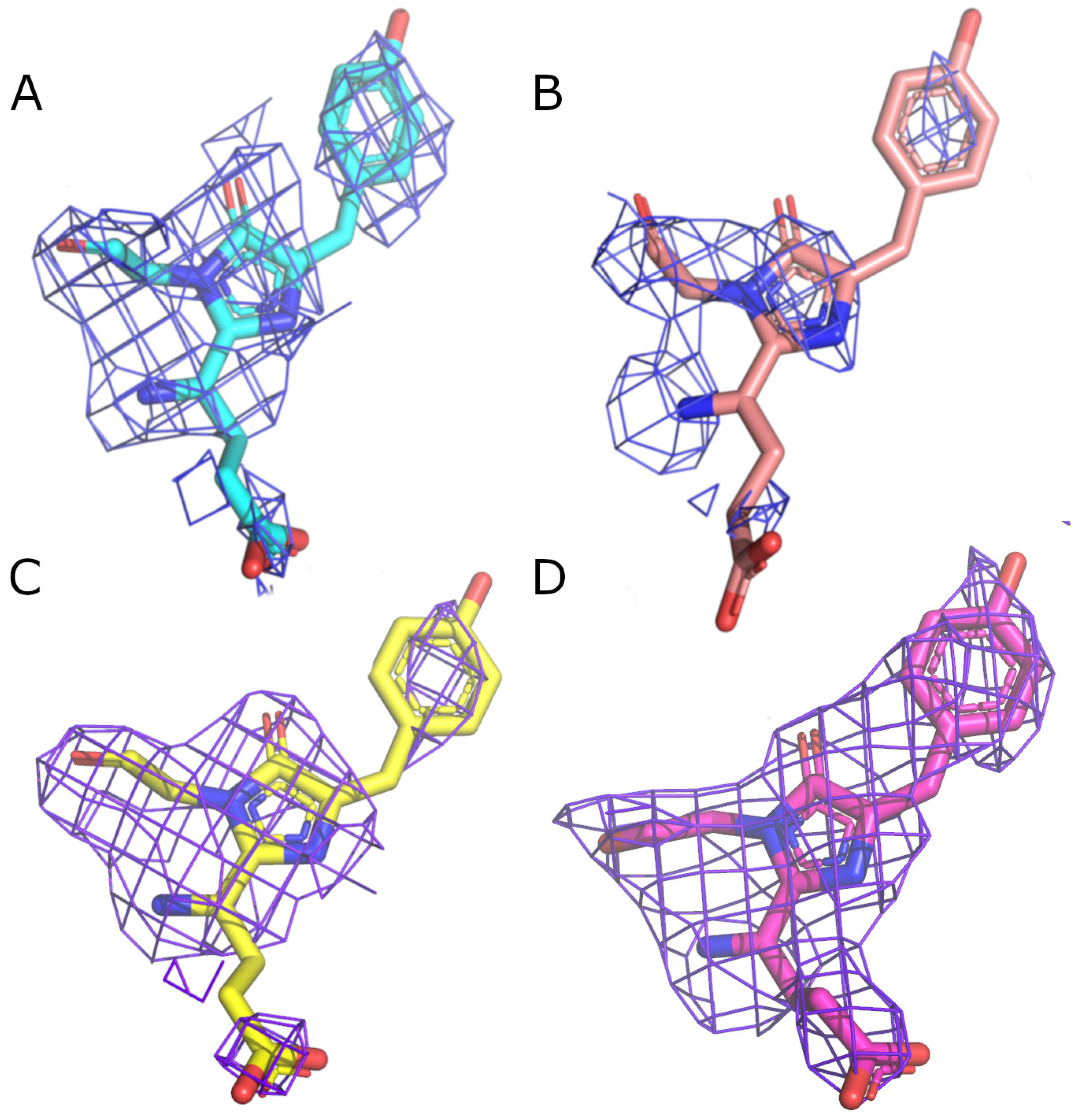Synbio 02 00018 g005 Synbio 02 00018 g005