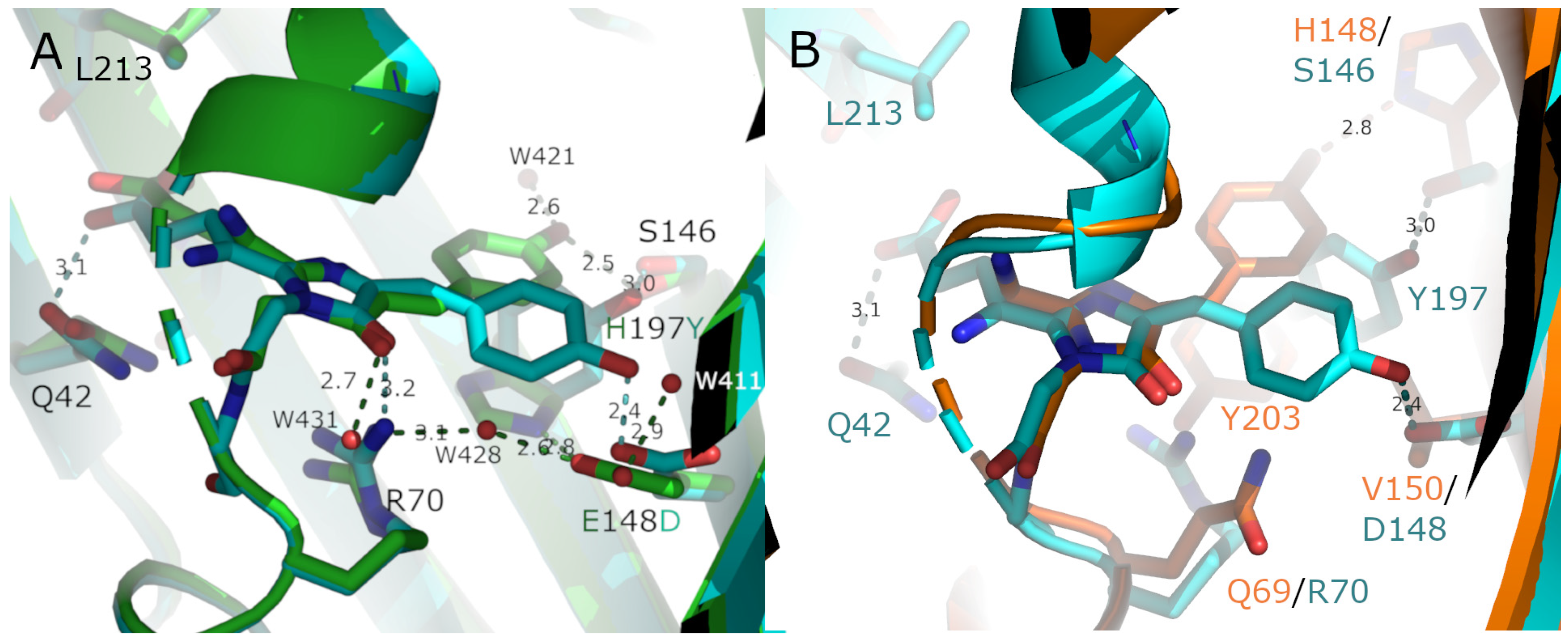 Synbio 02 00018 g007 Synbio 02 00018 g007