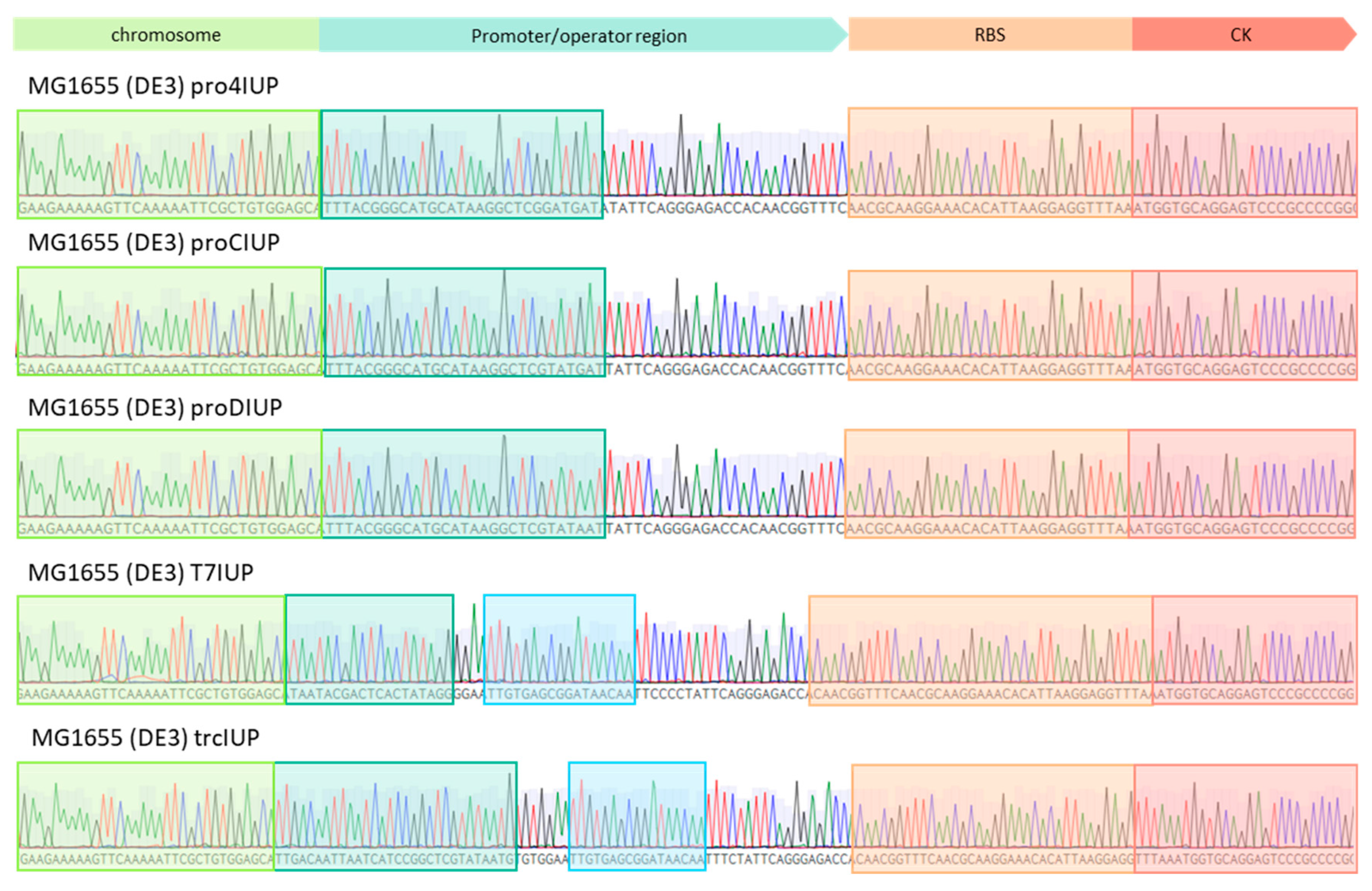 Synbio 02 00022 g0a1