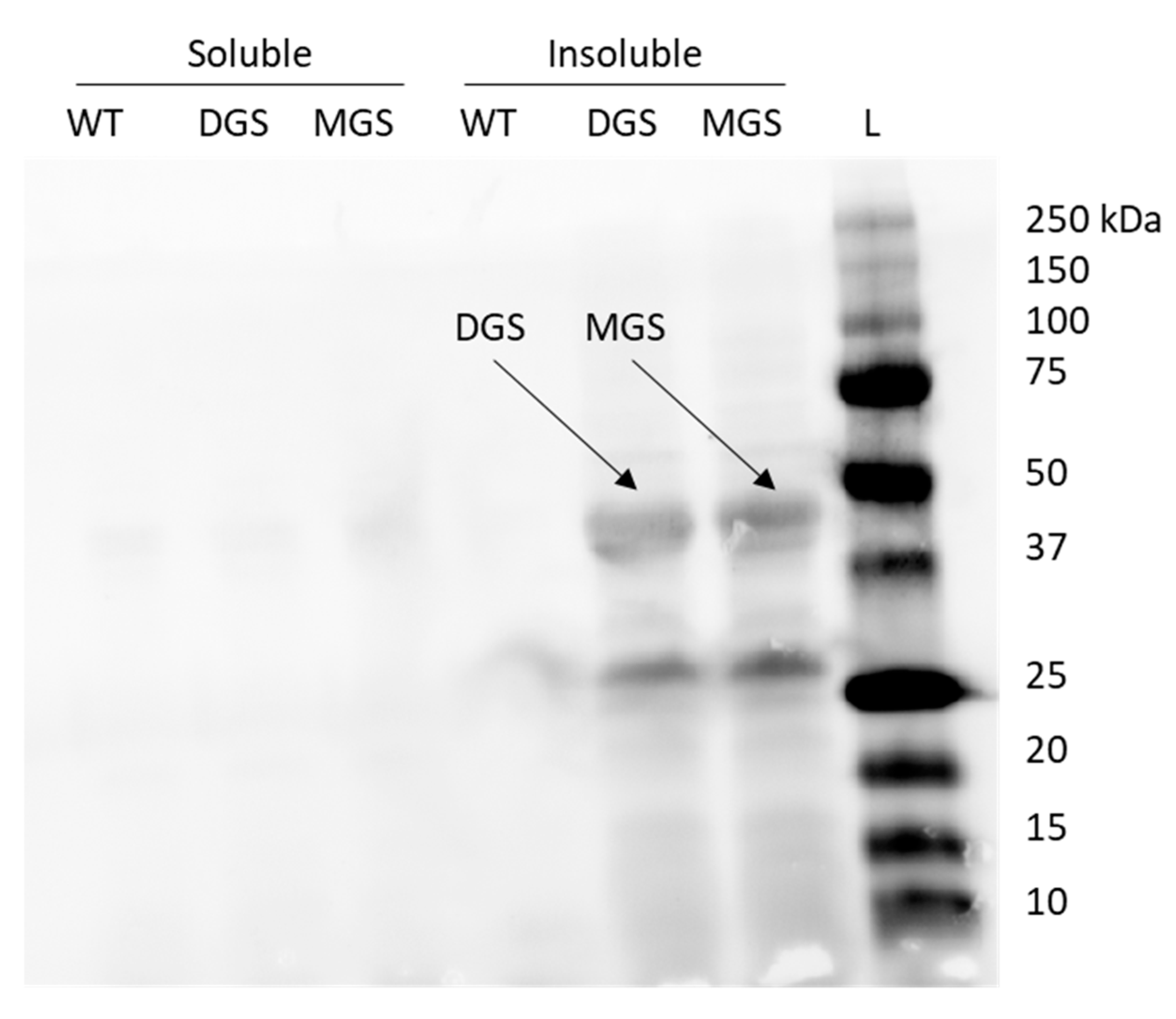 Synbio 02 00022 g0a2