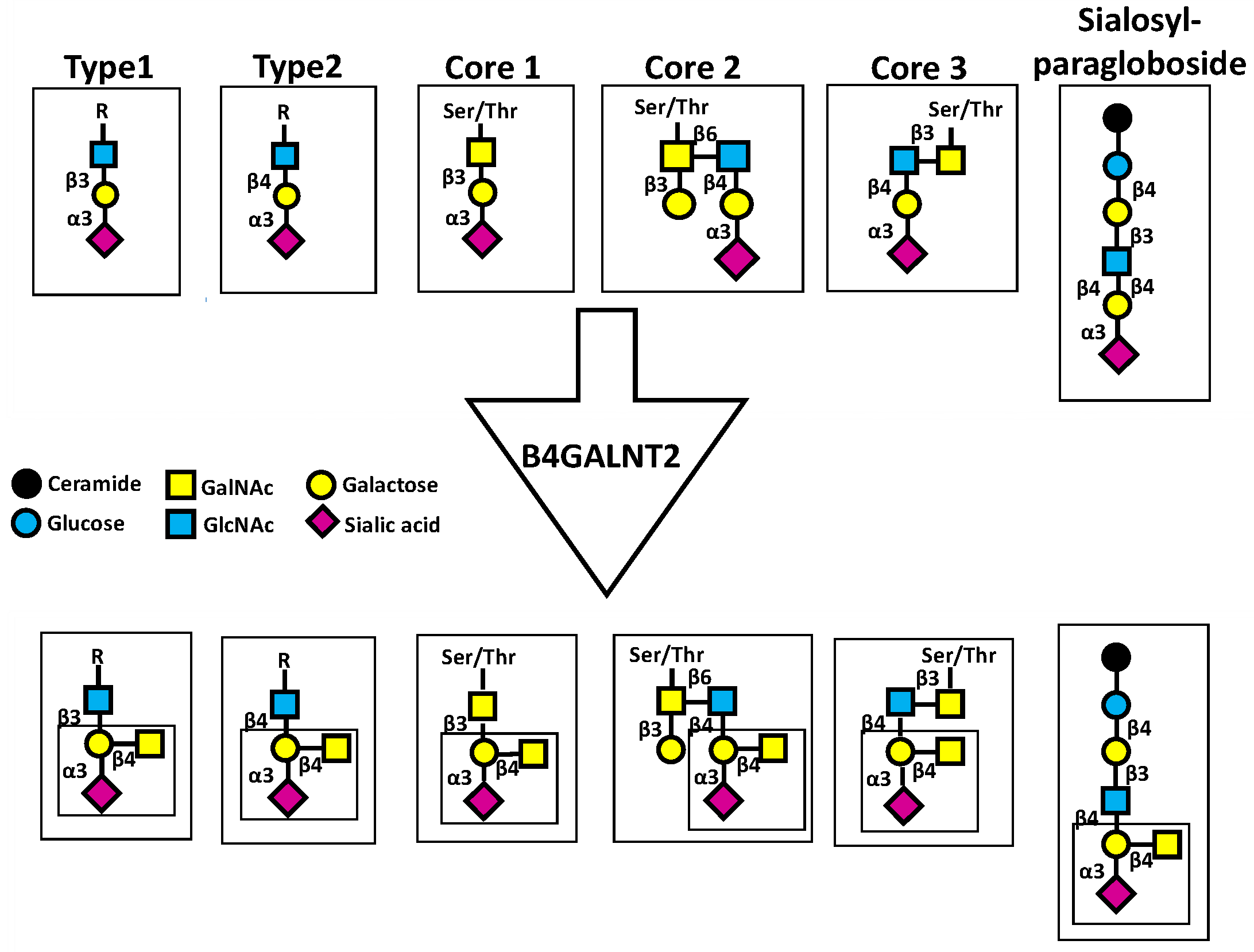 Synbio 03 00006 g001