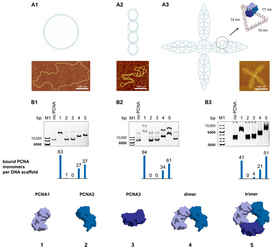 Synbio 03 00016 g003