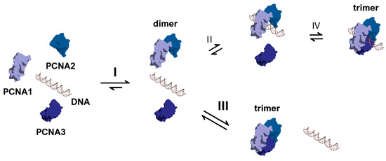 Synbio 03 00016 g004