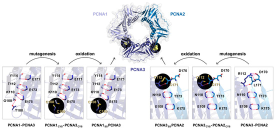 Synbio 03 00016 g005