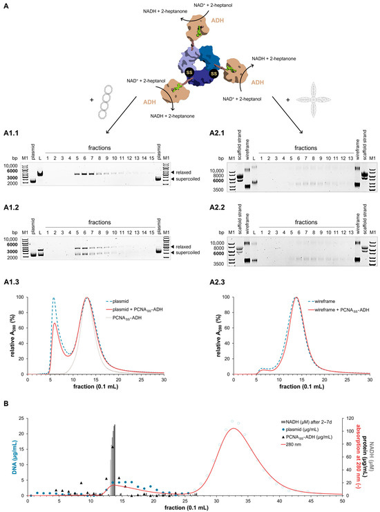 Synbio 03 00016 g006