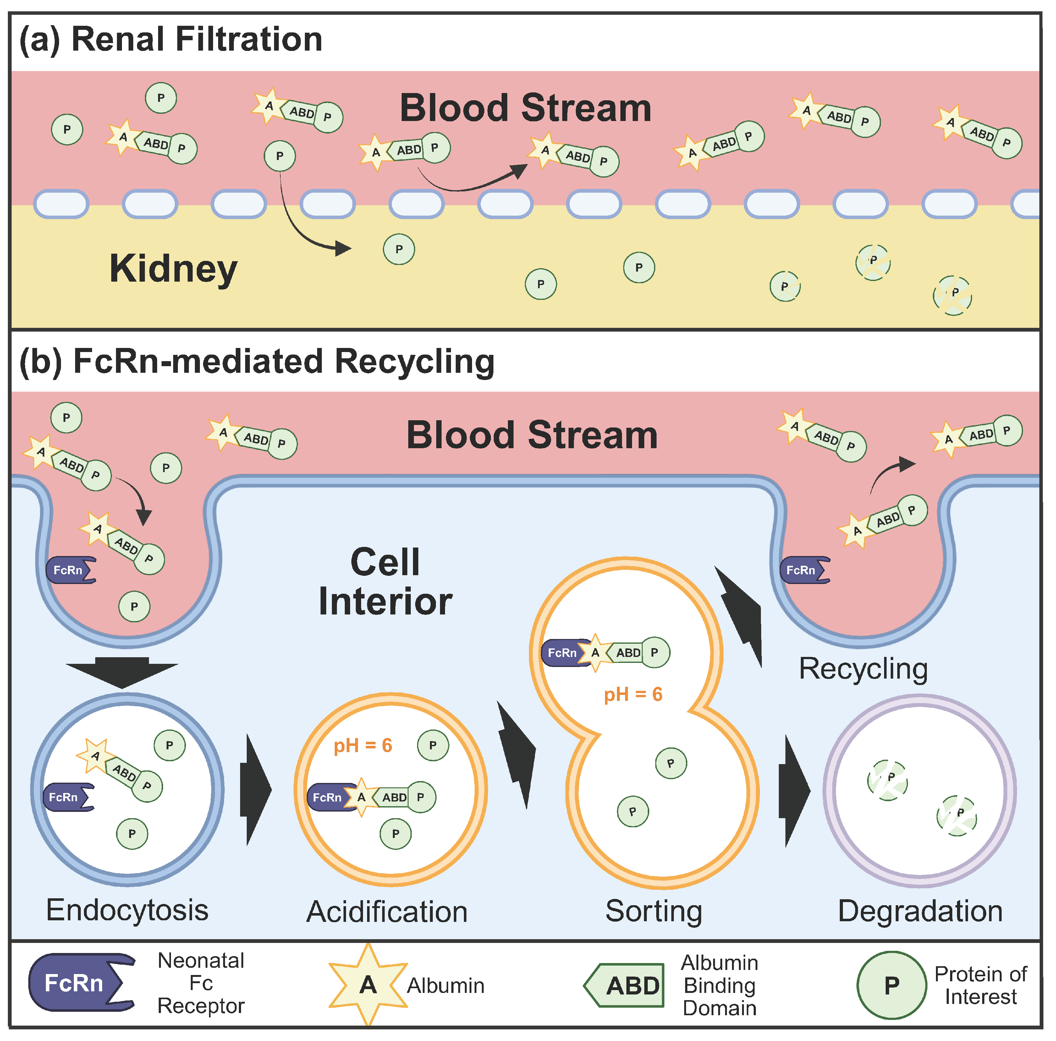 Synbio 04 00005 g001 Synbio 04 00005 g001
