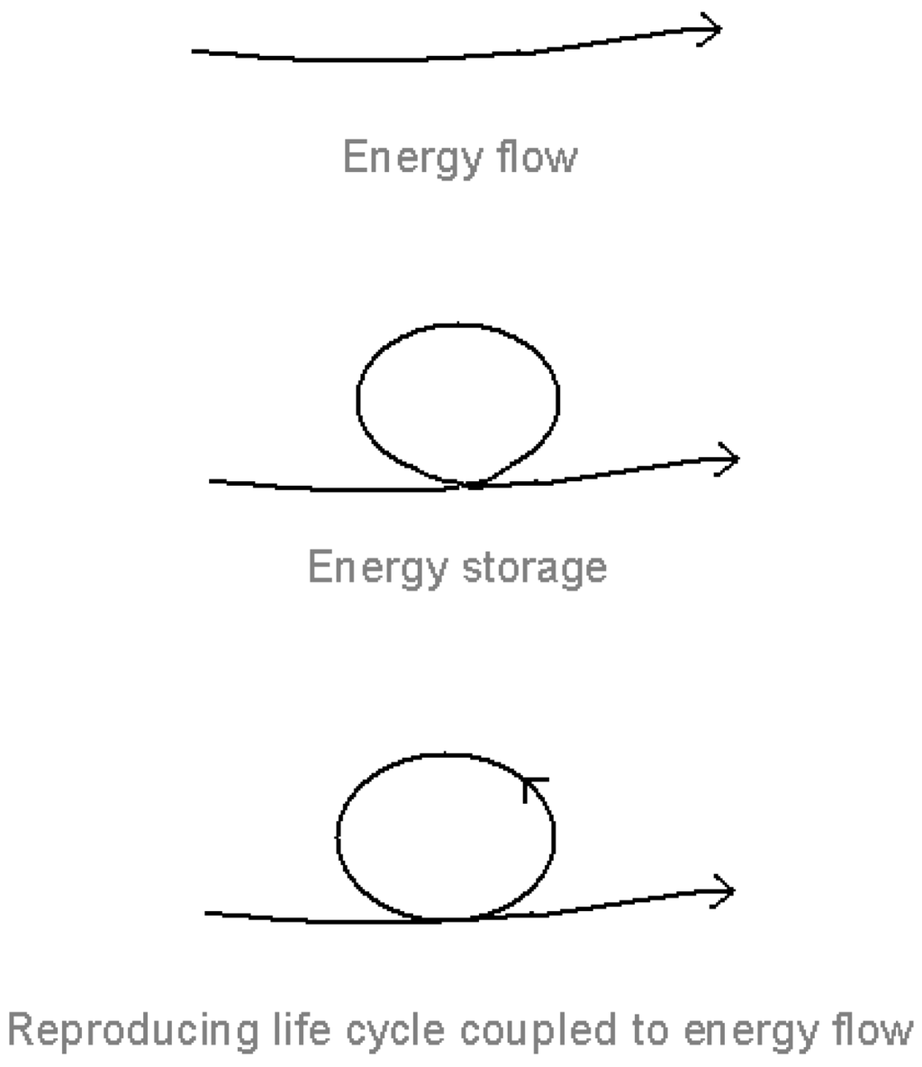 Systems 01 00030 g001 1024