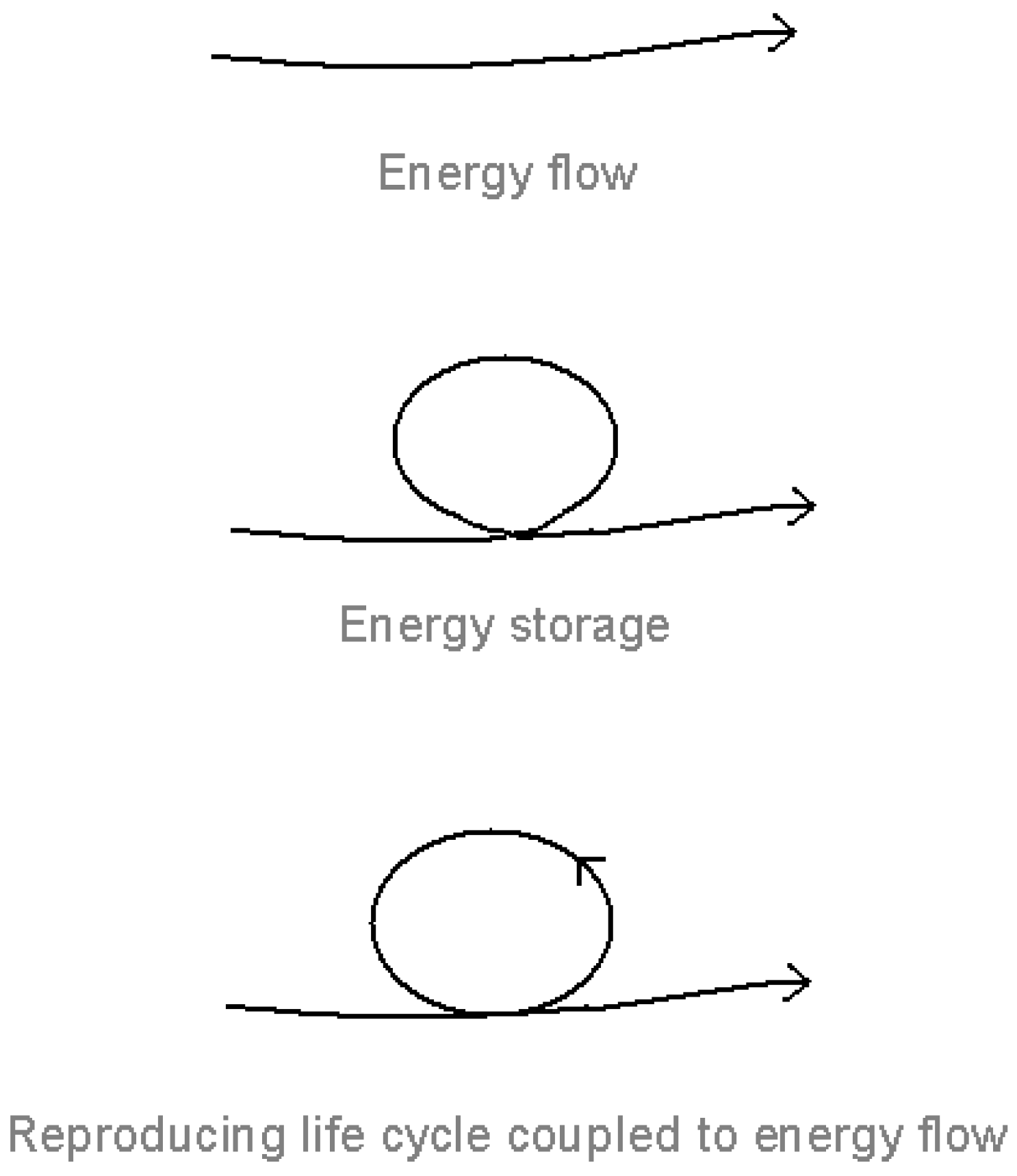 Systems 01 00030 g001