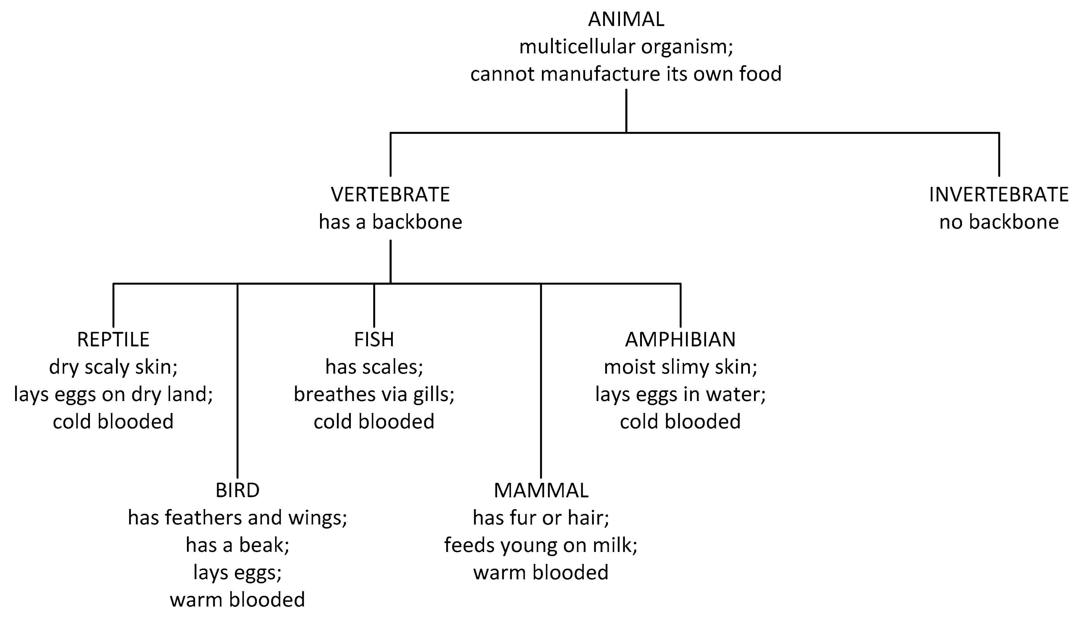 Systems 06 00032 g009