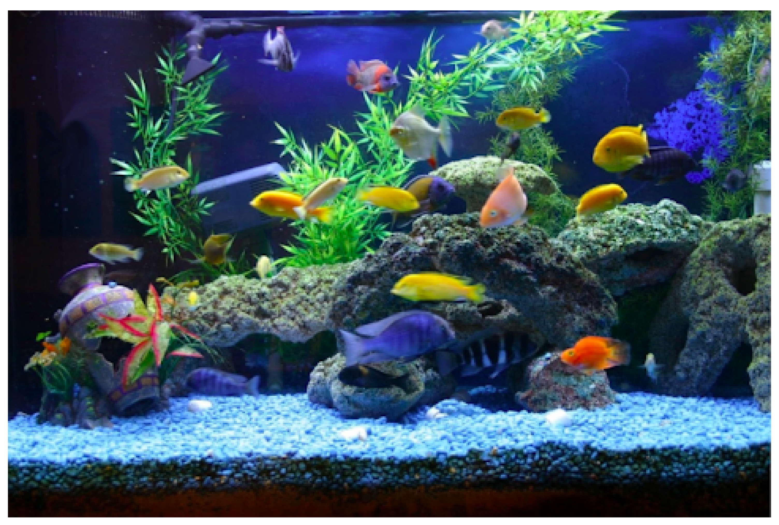 Systems 10 00044 g017