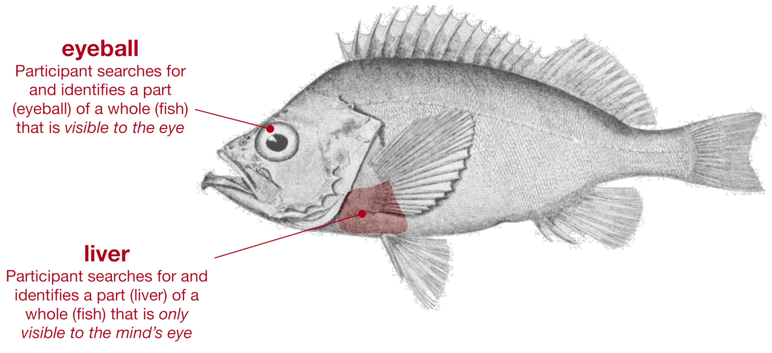 Systems 10 00052 g021