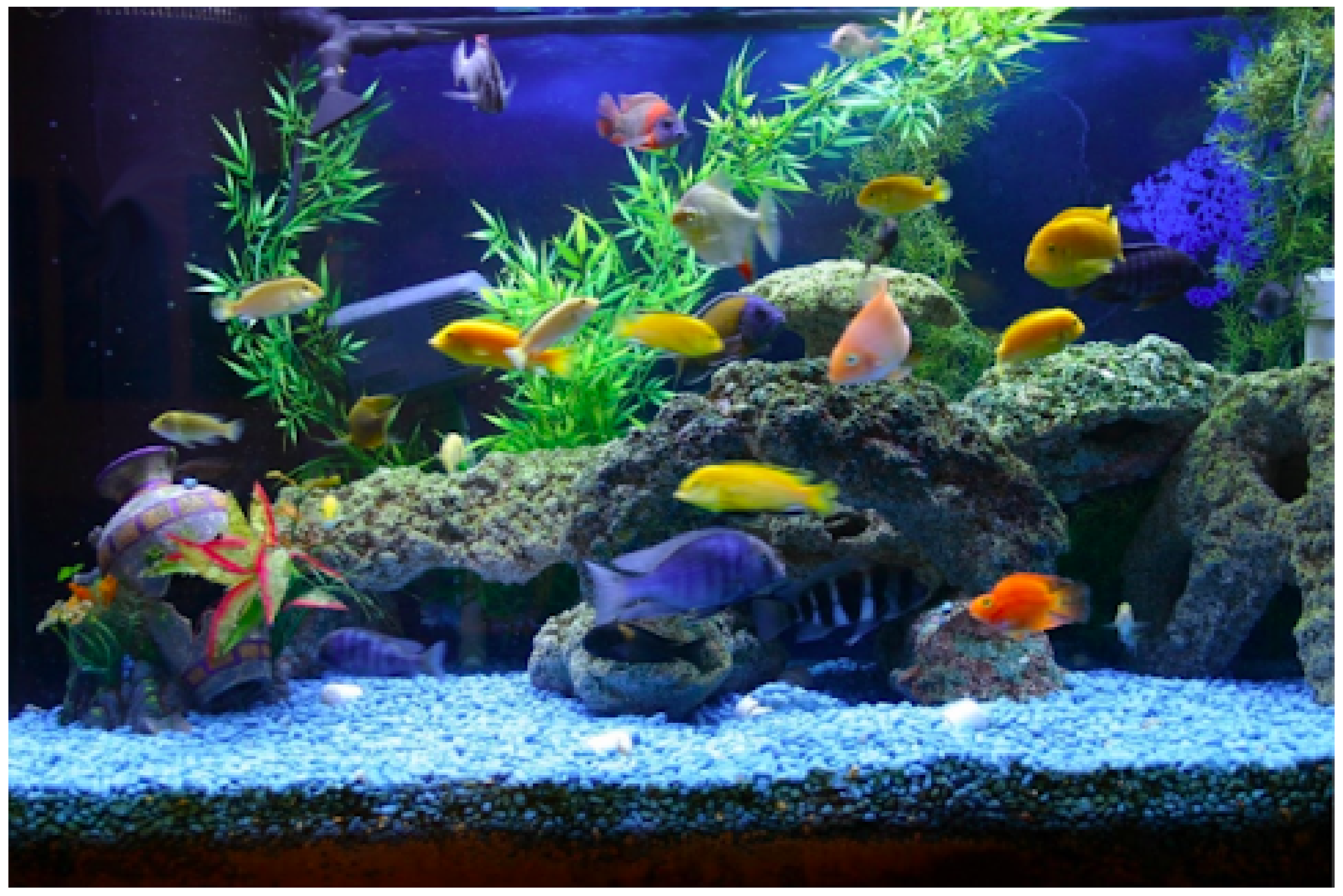 Systems 10 00071 g023