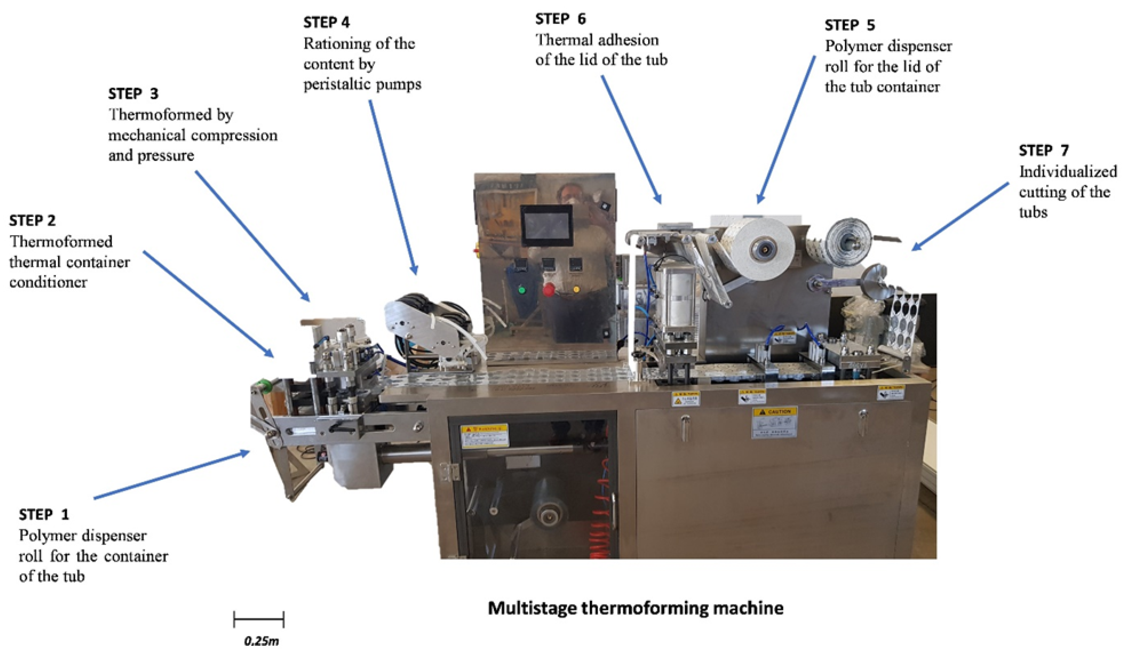 Systems 10 00175 g002