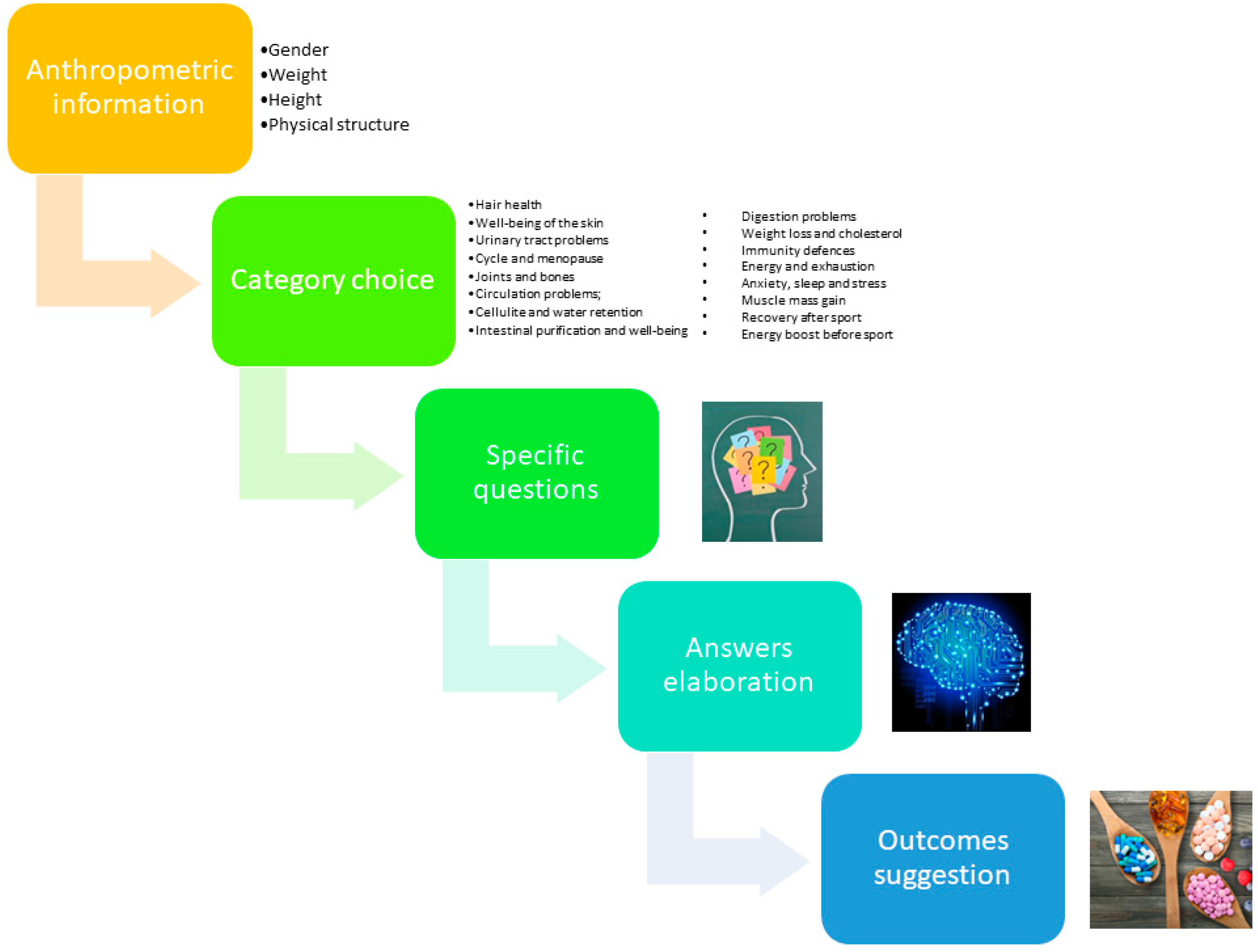 Systems 11 00265 g002